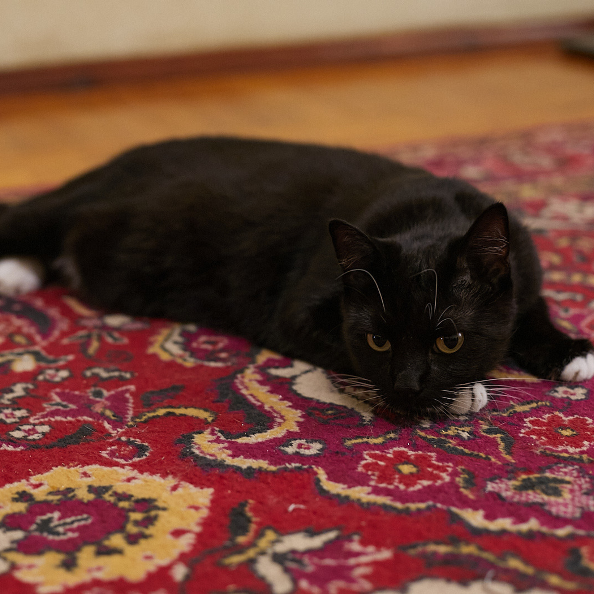 Отзывы. Свадебный и креативный фотограф в ЮФО и МСК