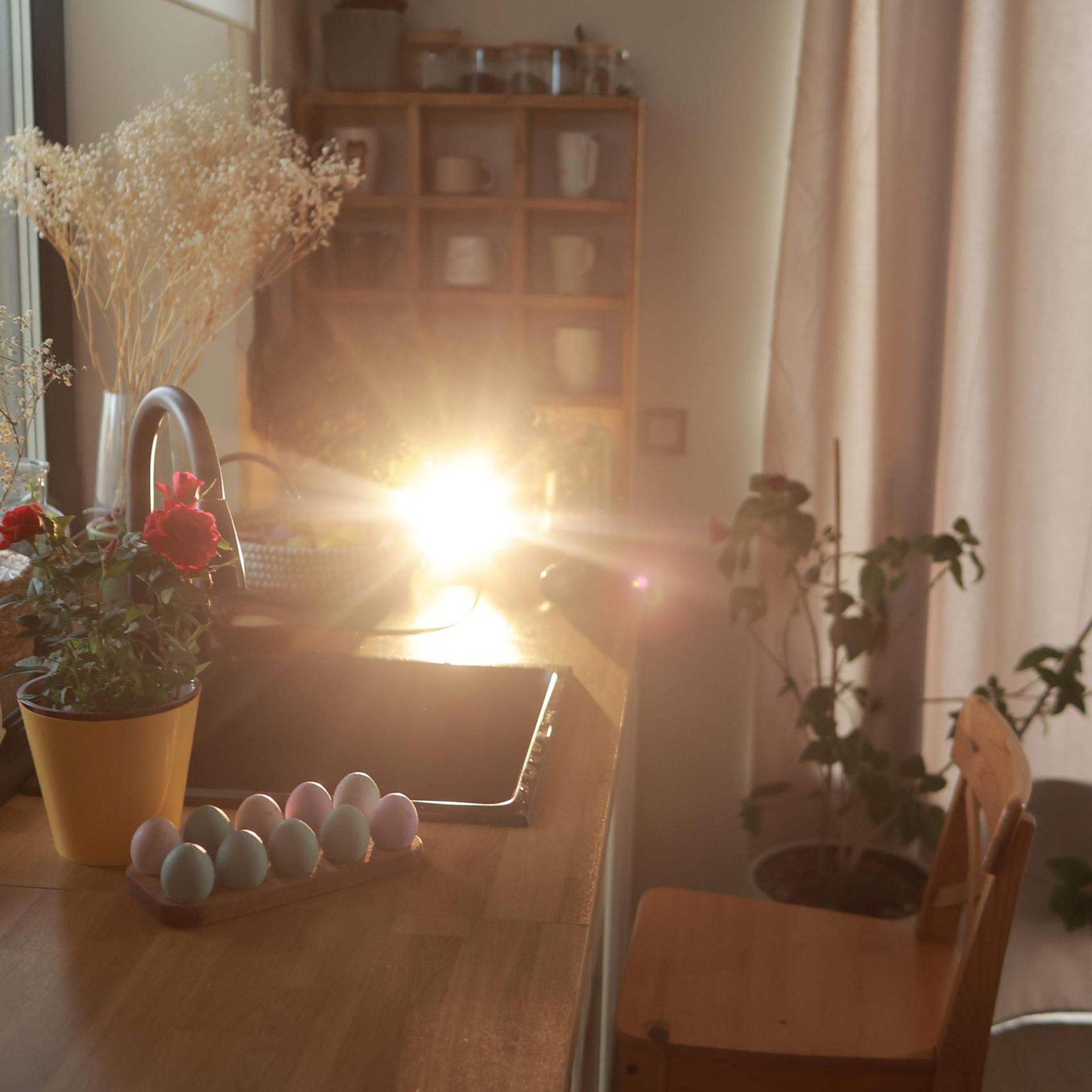 Отзывы. Семейный фотограф Тюмень, фотограф на роды Салмина Мария