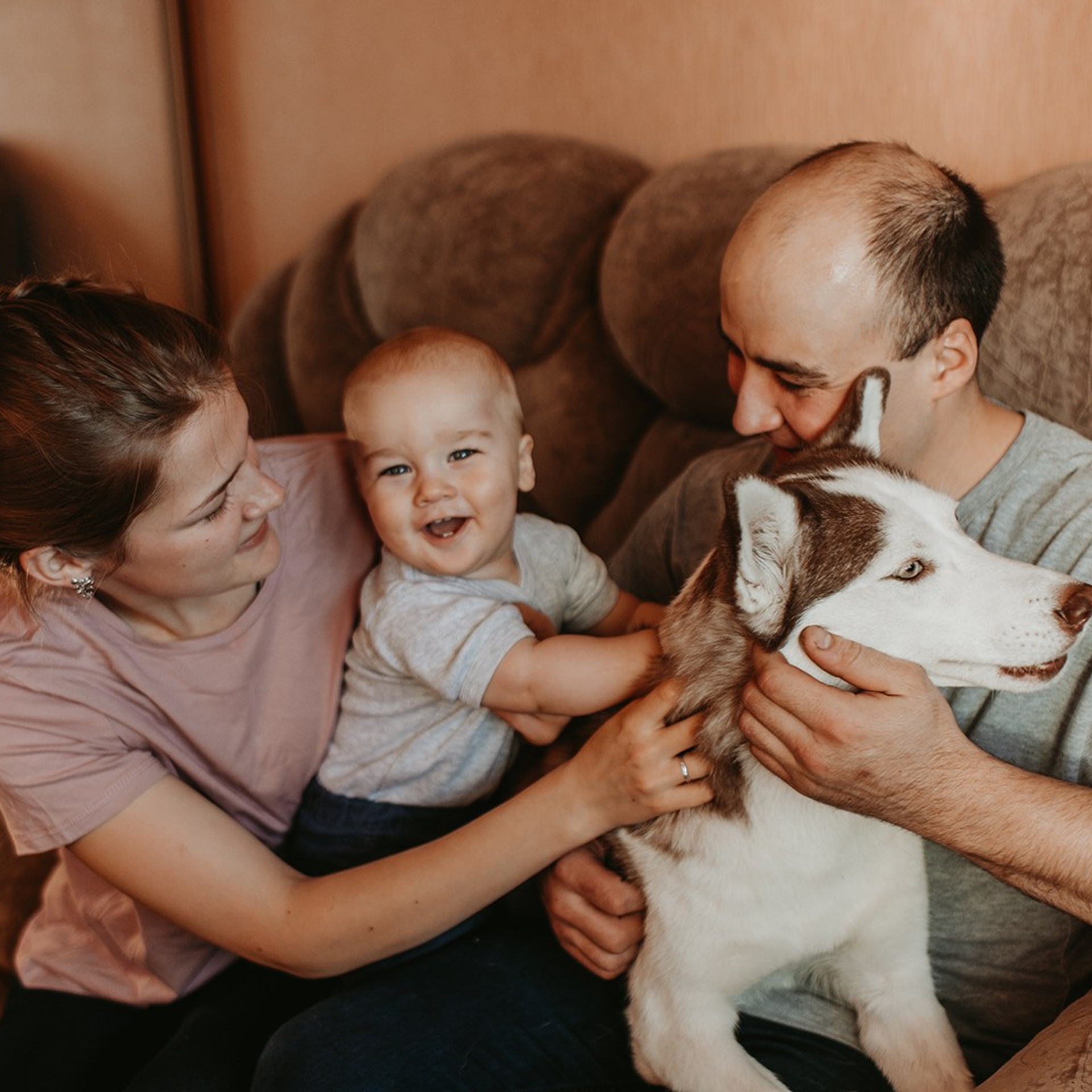 Дома с собачкой