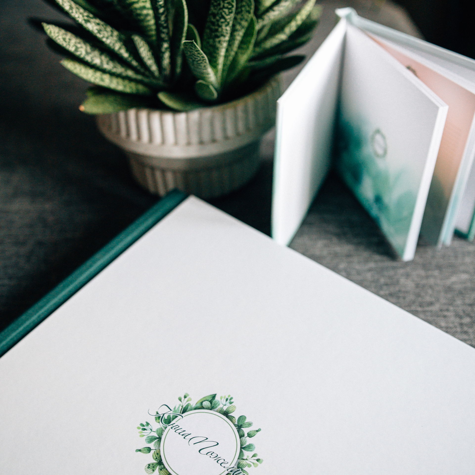 ФОТОКНИГИ. Фотограф Дмитрий Щекочихин