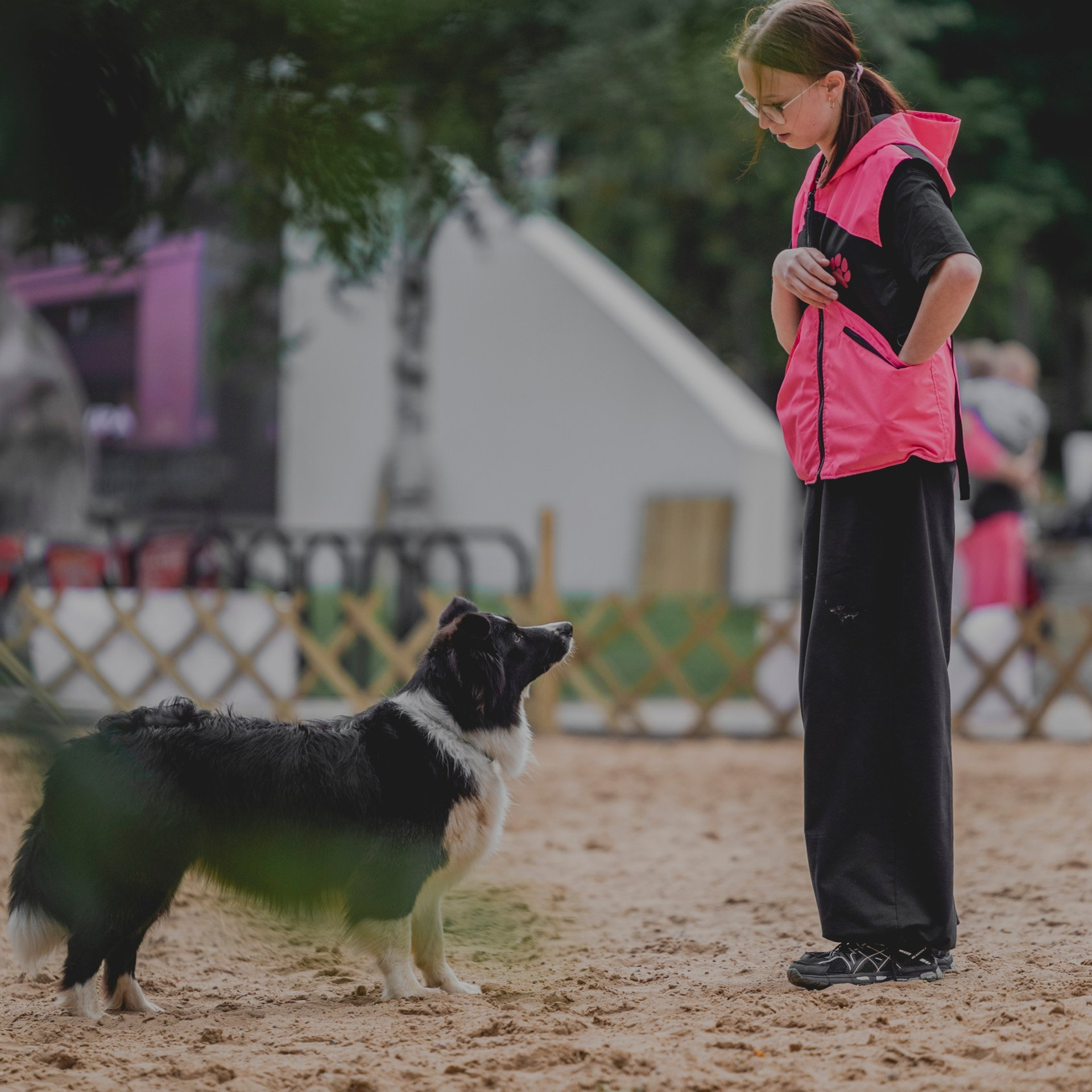 Pets Fest 08.08.2026. Фотосессия собак Минск, Борисов | Фотограф-анималист Арина RISHELL PHOTO