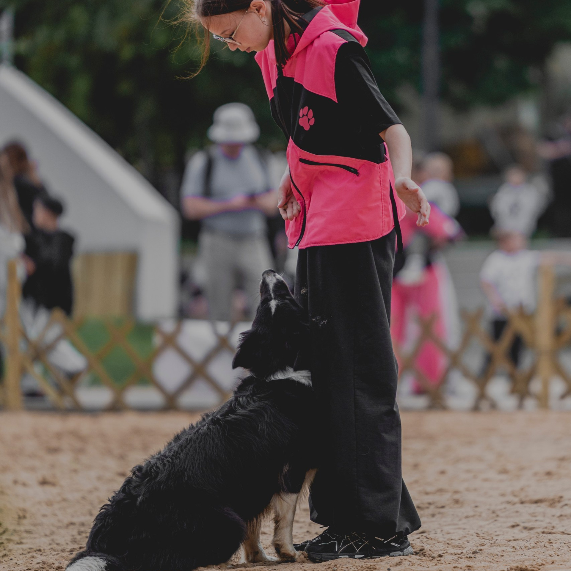 Pets Fest 08.08.2026. Фотосессия собак Минск, Борисов | Фотограф-анималист Арина RISHELL PHOTO