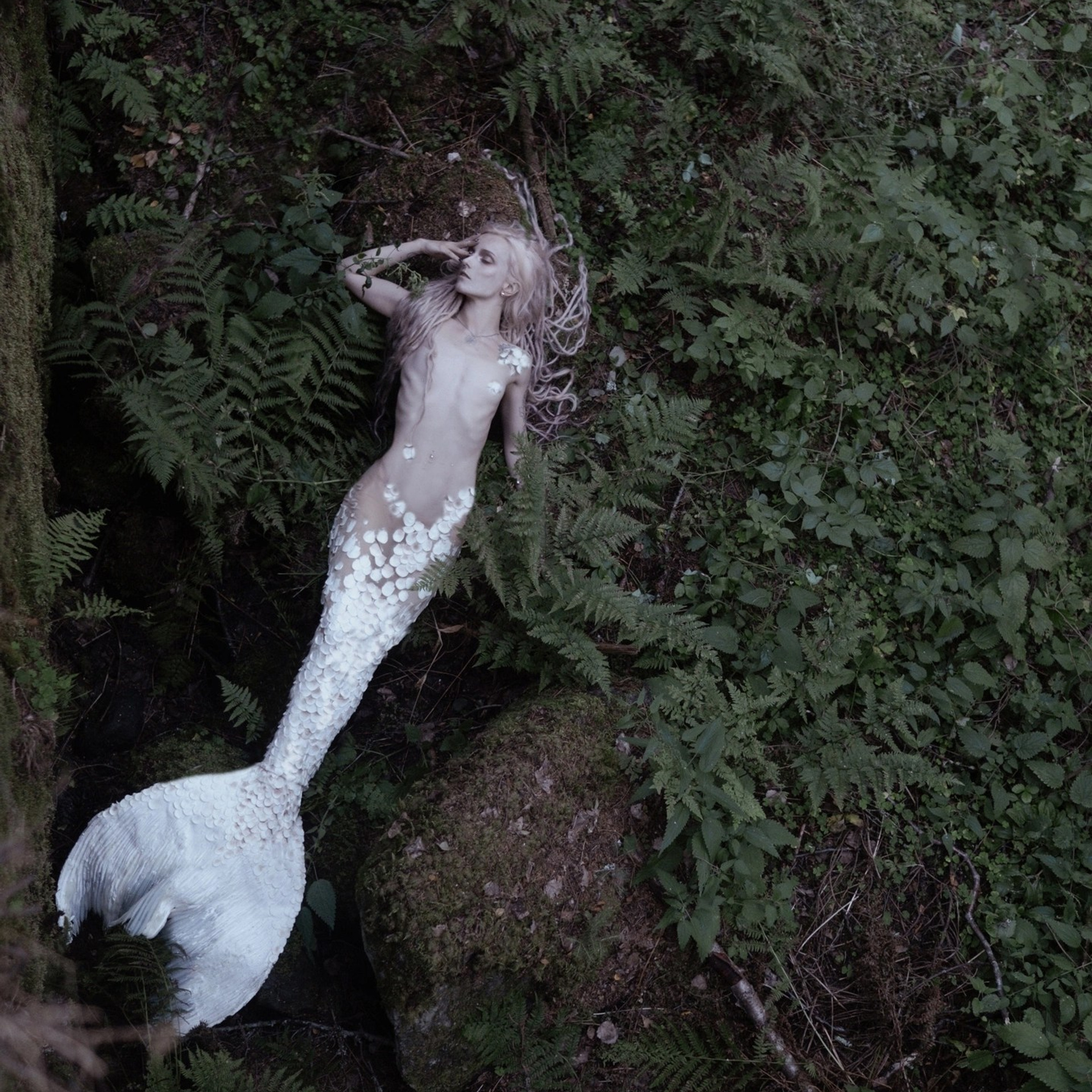 Magic. Фотограф Облако Александра