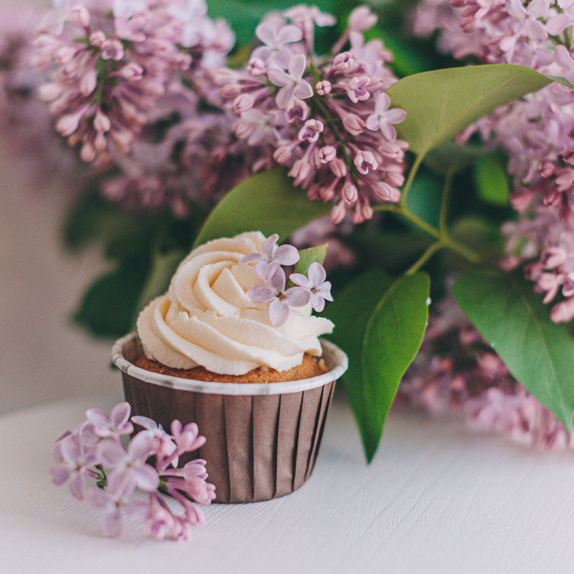 Сладкий мир