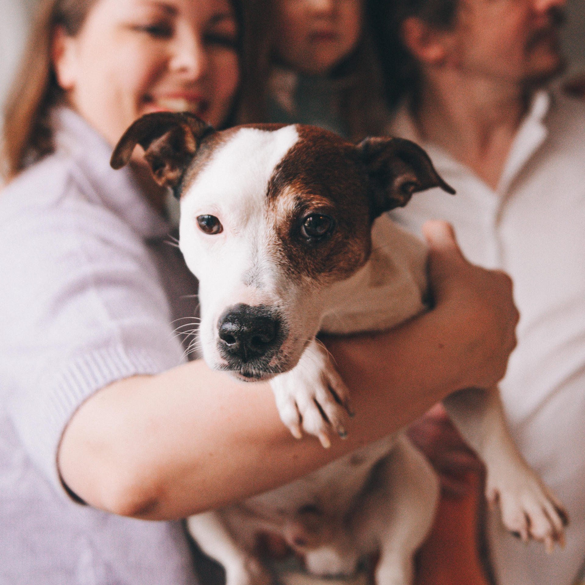 Четверо в лодке не считая собаки