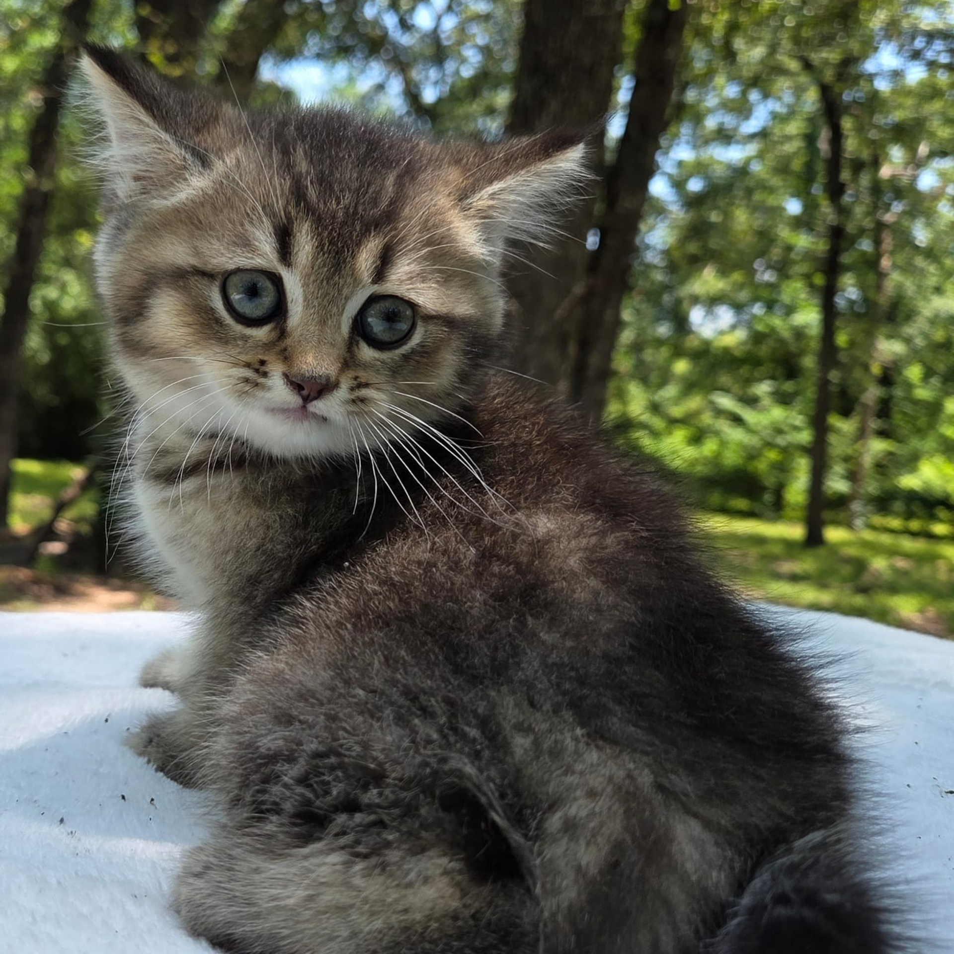 Stesha, female, 04.21.2026, $800