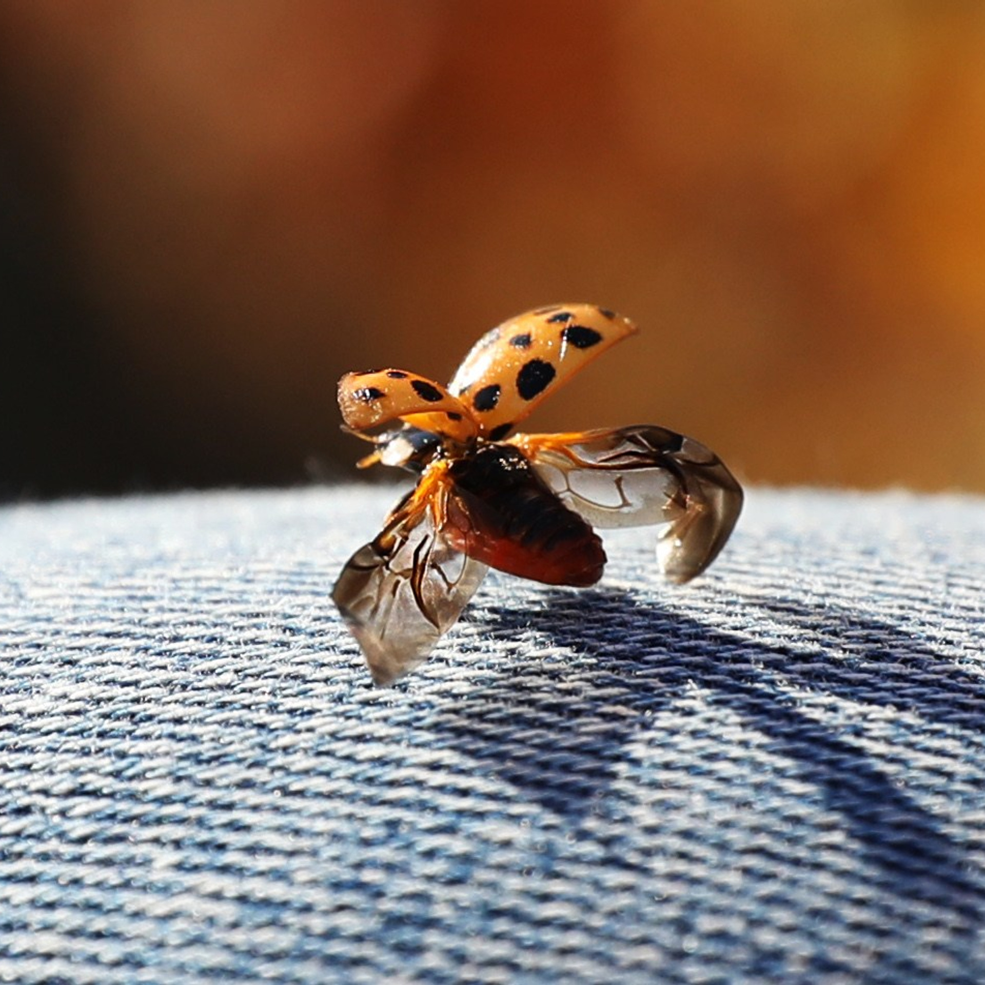 Пейзаж, архитектура, текстура. Фотограф Владивосток Николай Тынько
