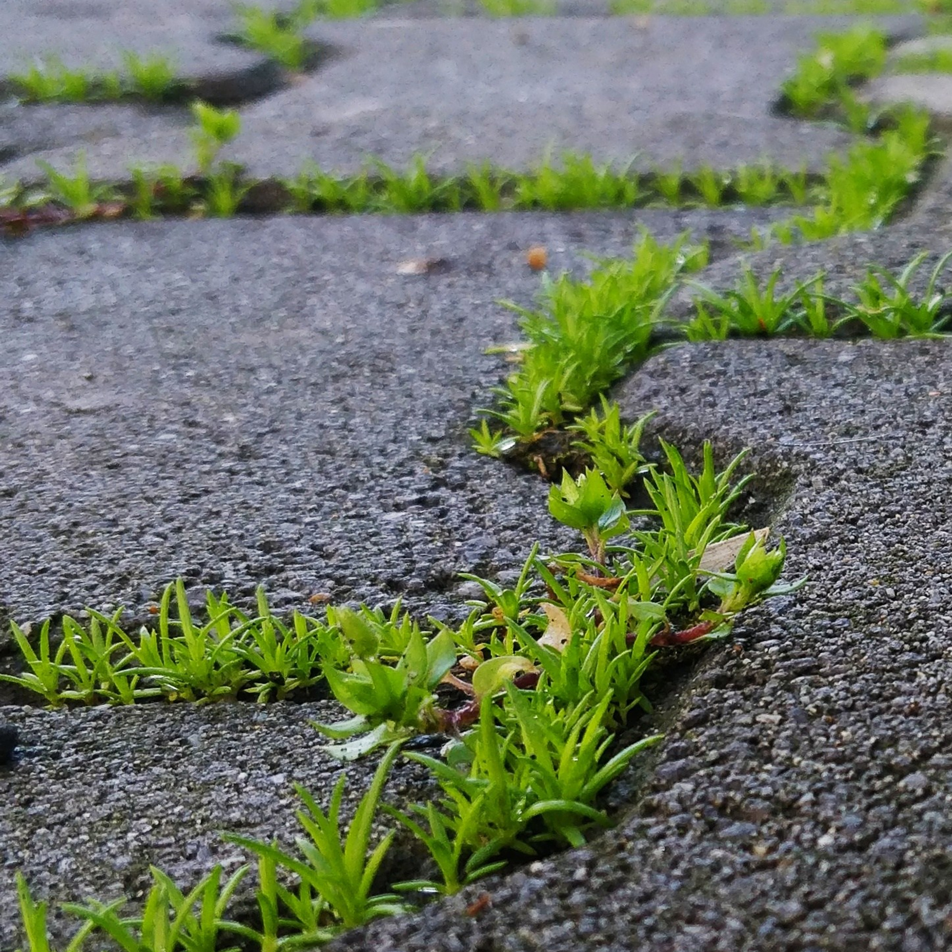 Пейзаж, архитектура, текстура. Фотограф Владивосток Николай Тынько