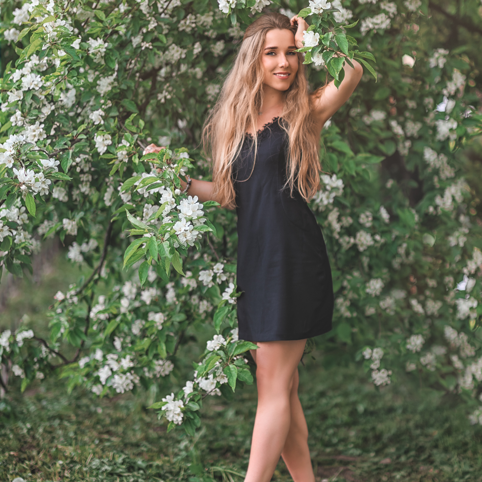 Анна (яблони). Фотограф в Санкт-Петербурге Наталья Прядильщикова