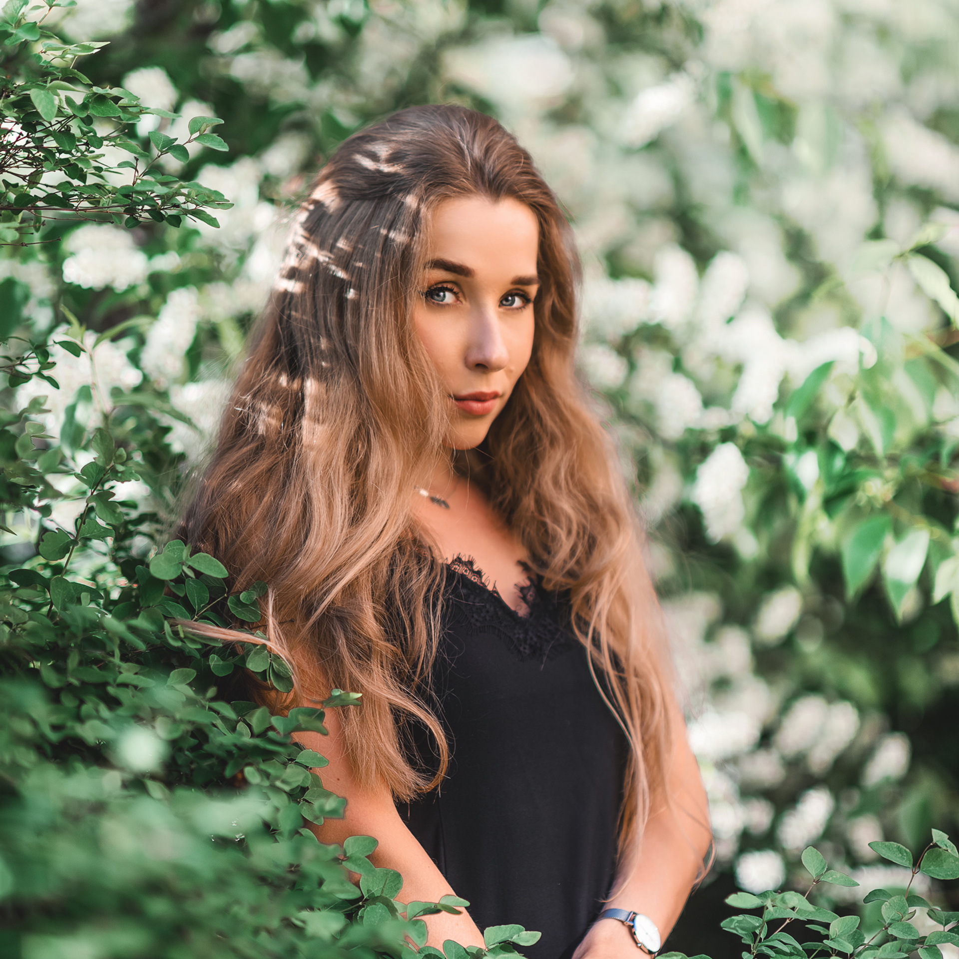 Анна (яблони). Фотограф в Санкт-Петербурге Наталья Прядильщикова