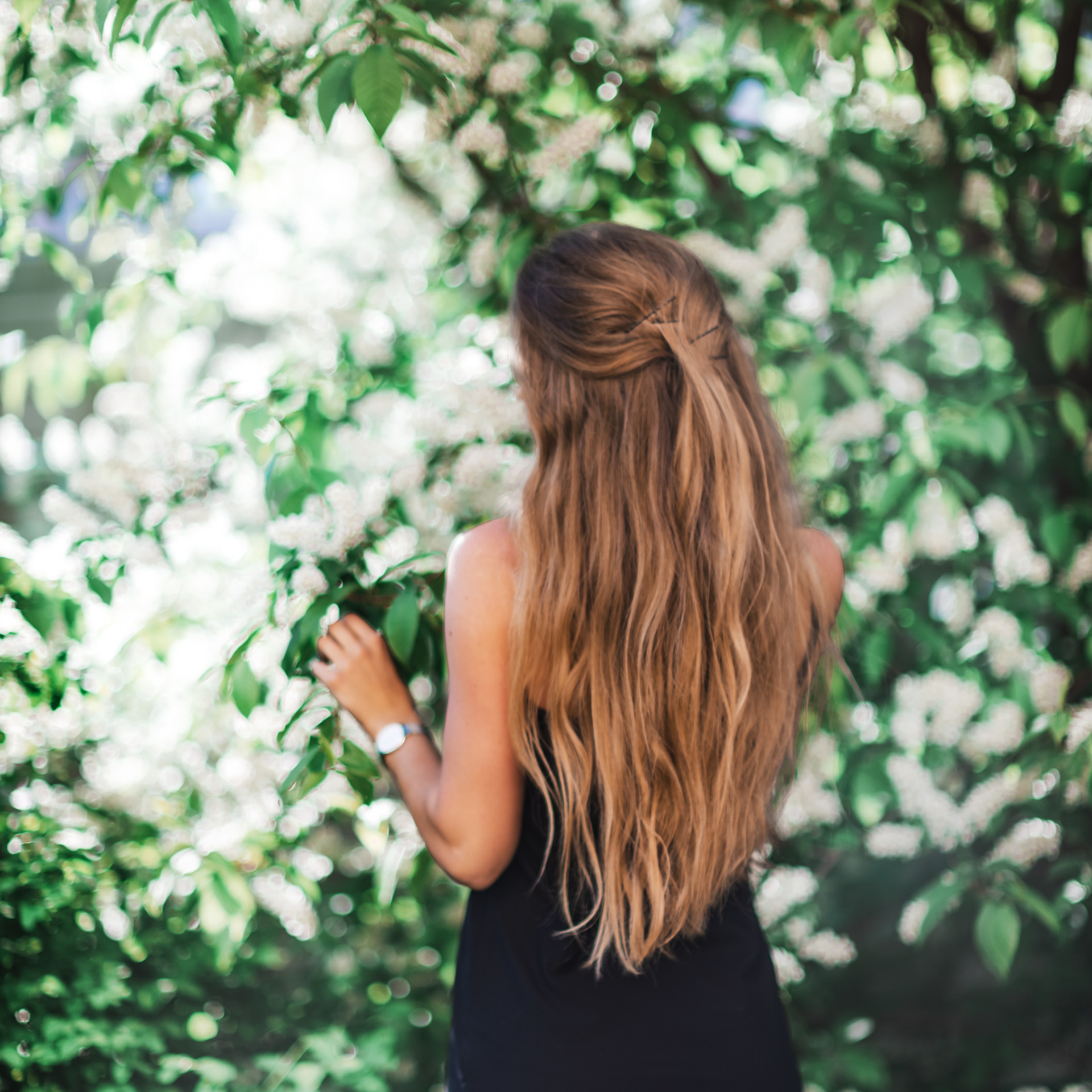 Анна (яблони). Фотограф в Санкт-Петербурге Наталья Прядильщикова