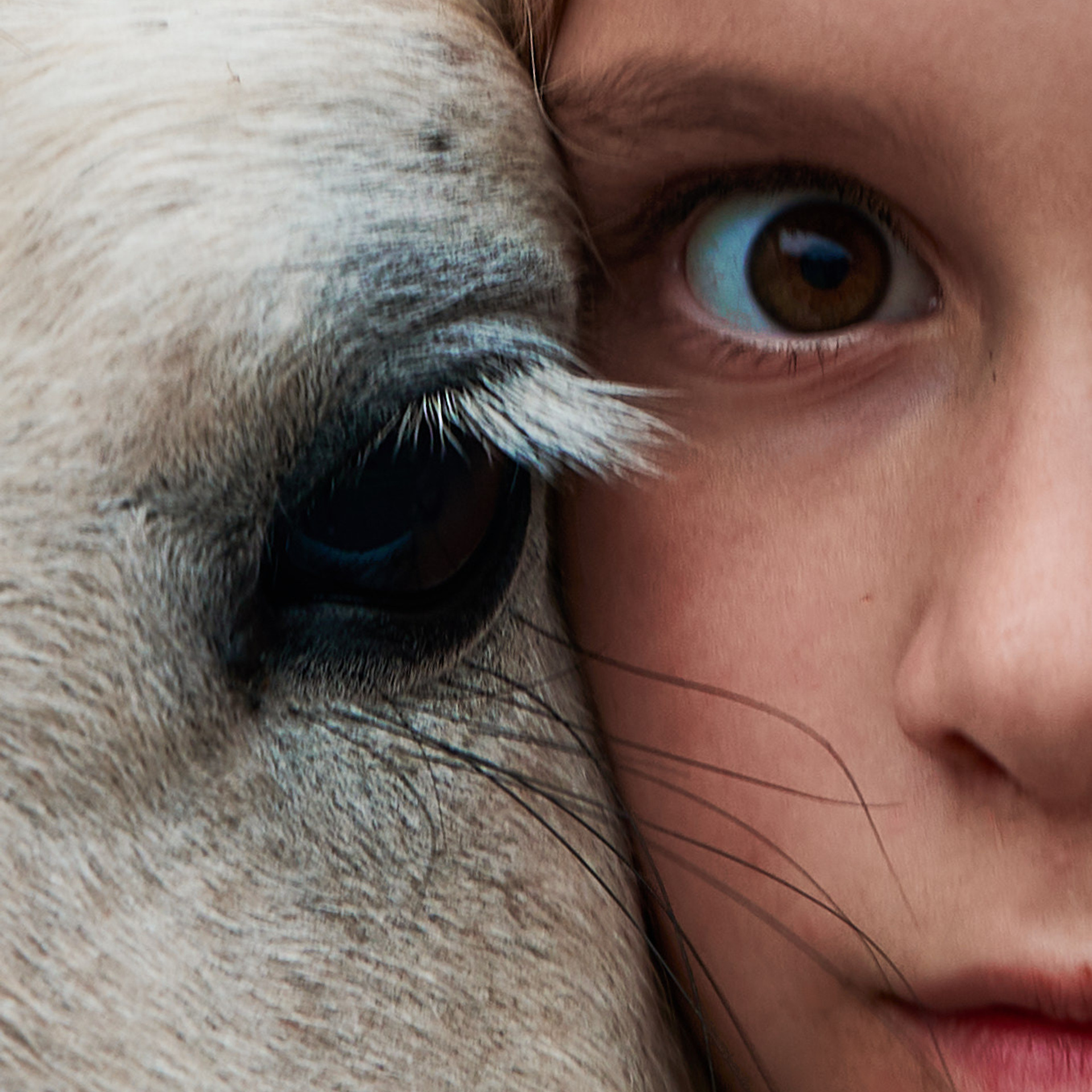 Reportage di bambini e pony