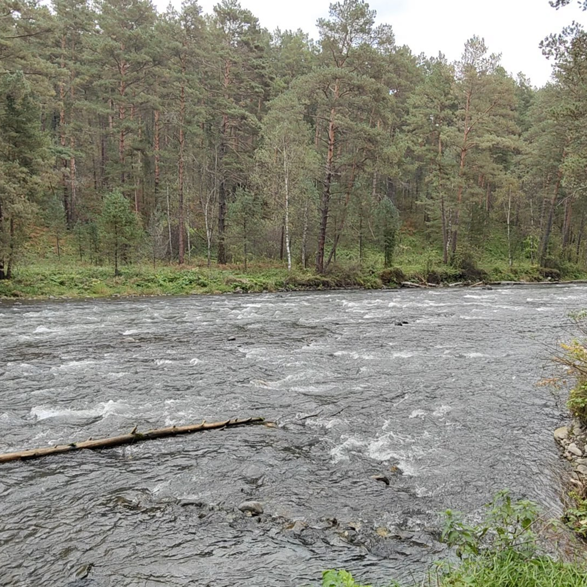 Ловим солнце, от Чемала до Камлака. Утренняя Катунь и осенний Ботанический сад. Фотограф-документалист Мария Осокина