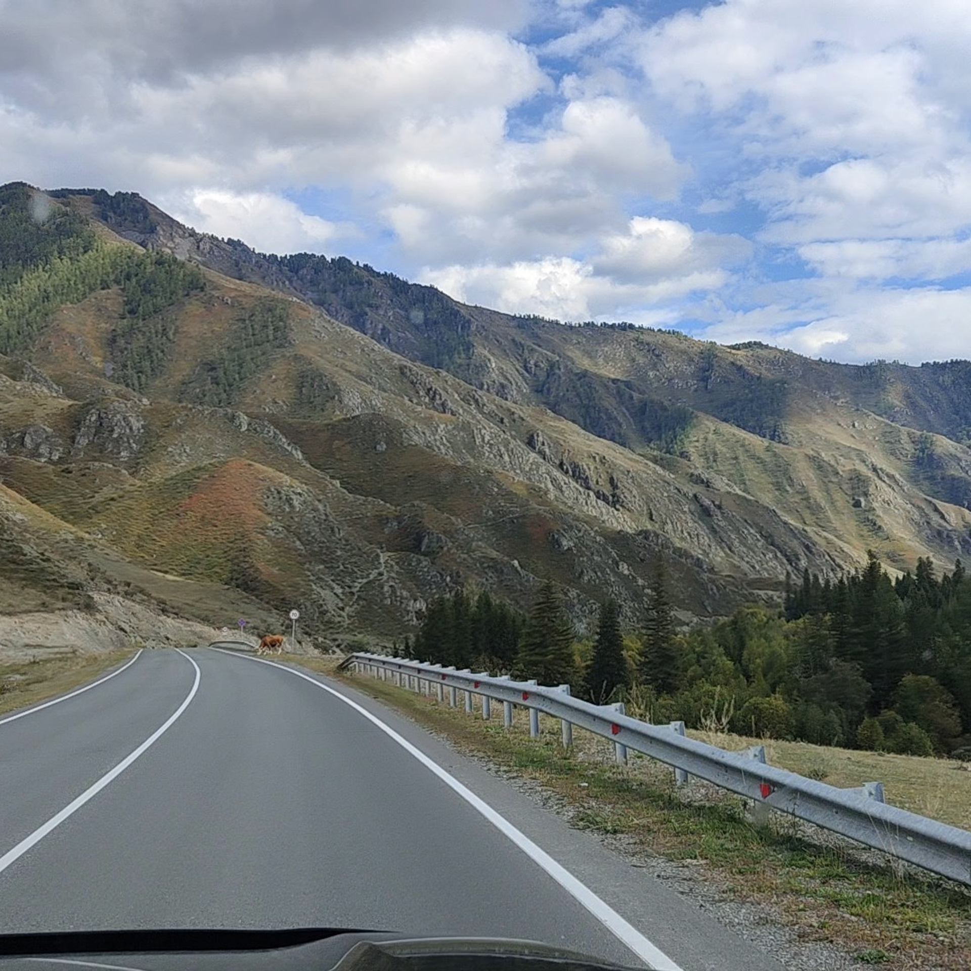 Чике-Таман и встреча с Катунью. Фотограф-документалист Мария Осокина
