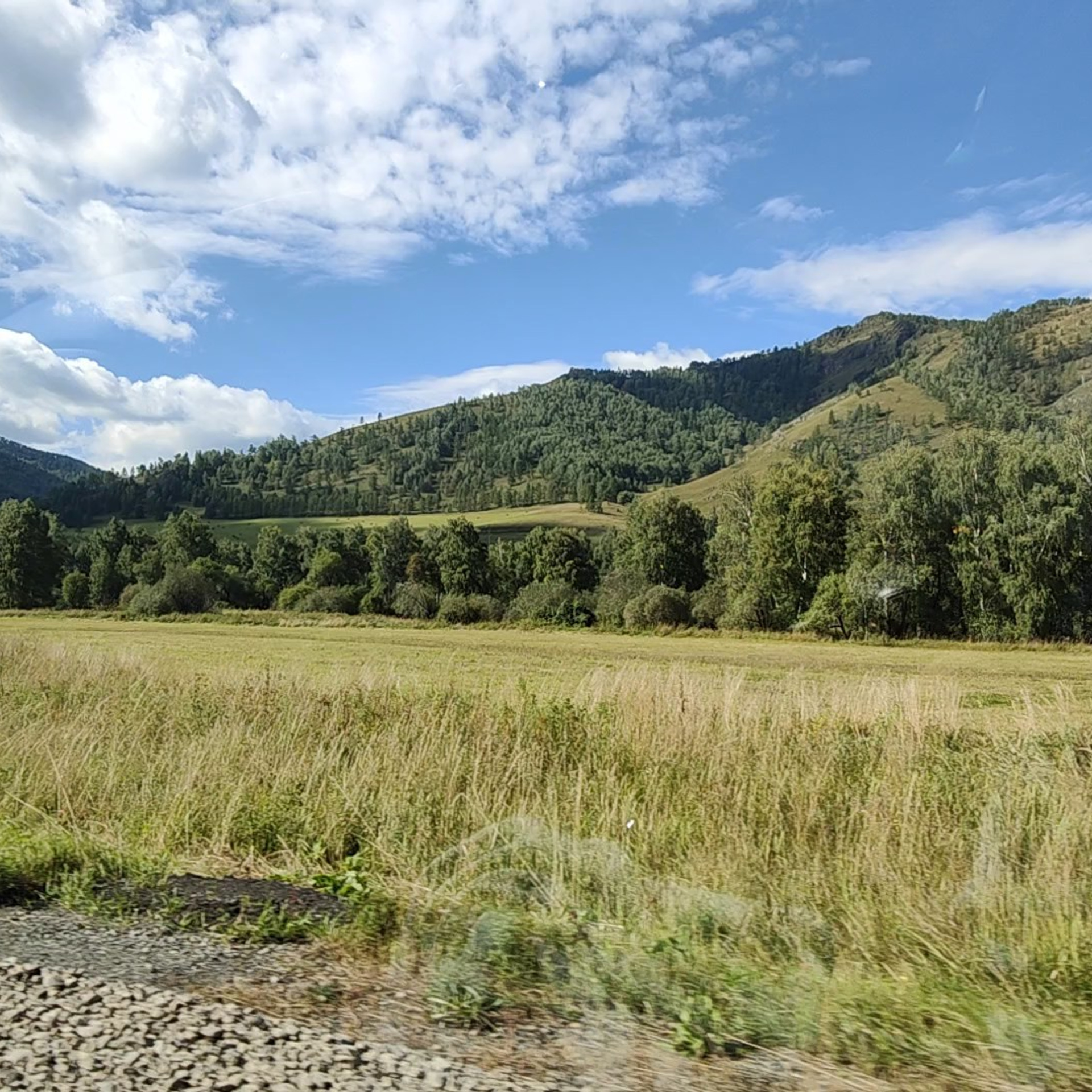 Дорога на Семинский перевал. Фотограф-документалист Мария Осокина