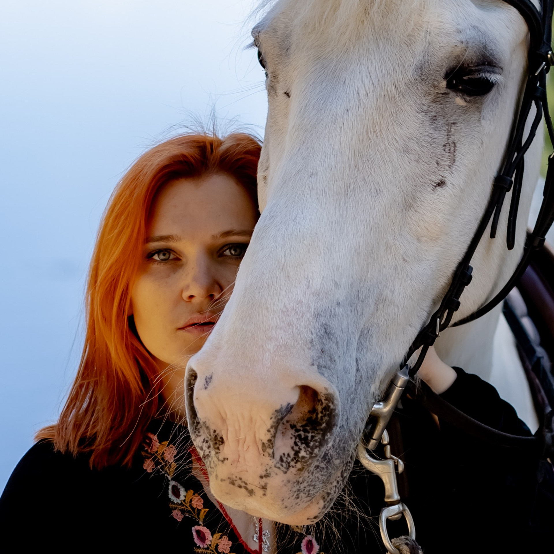 С&nbsp;животными