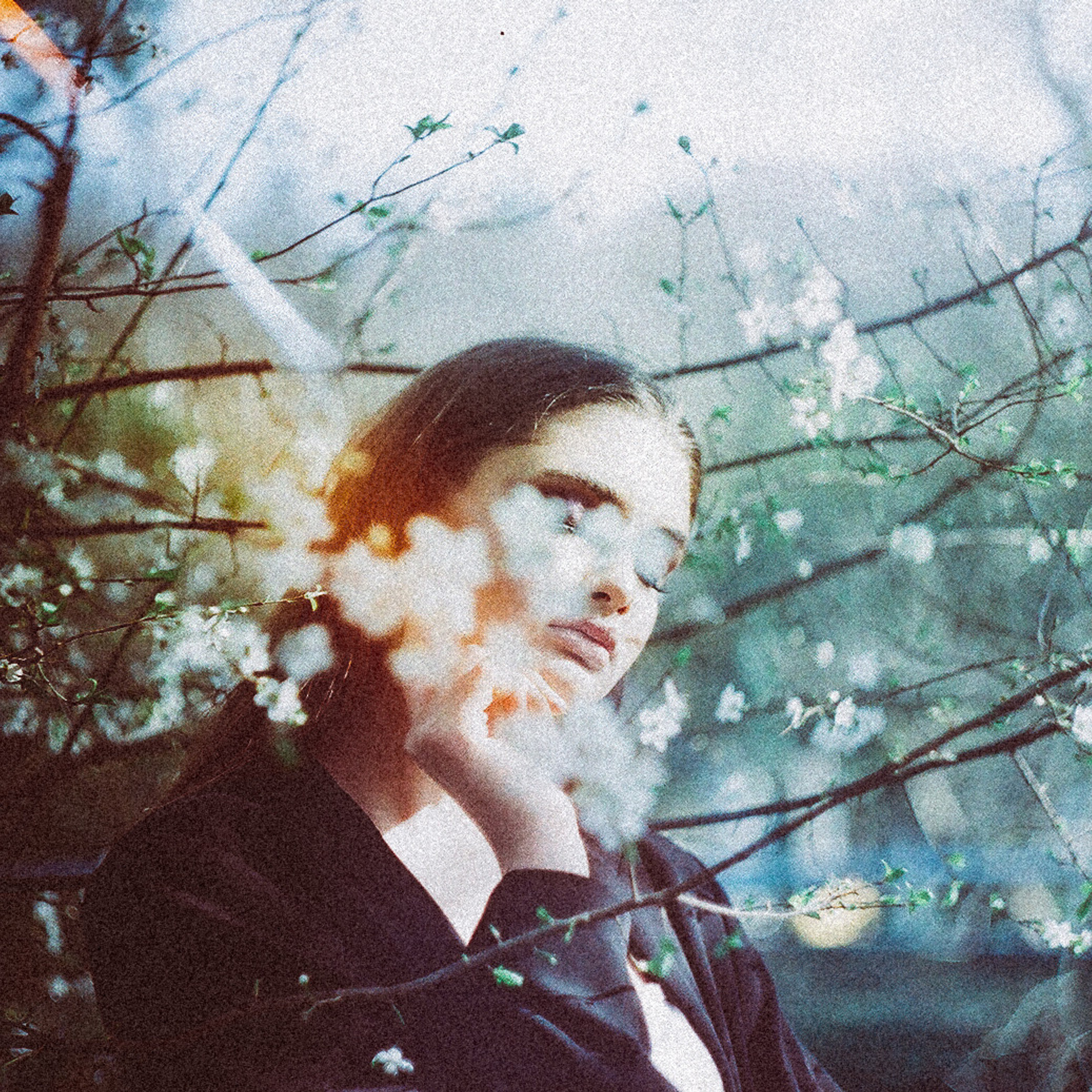 Снято на пленку