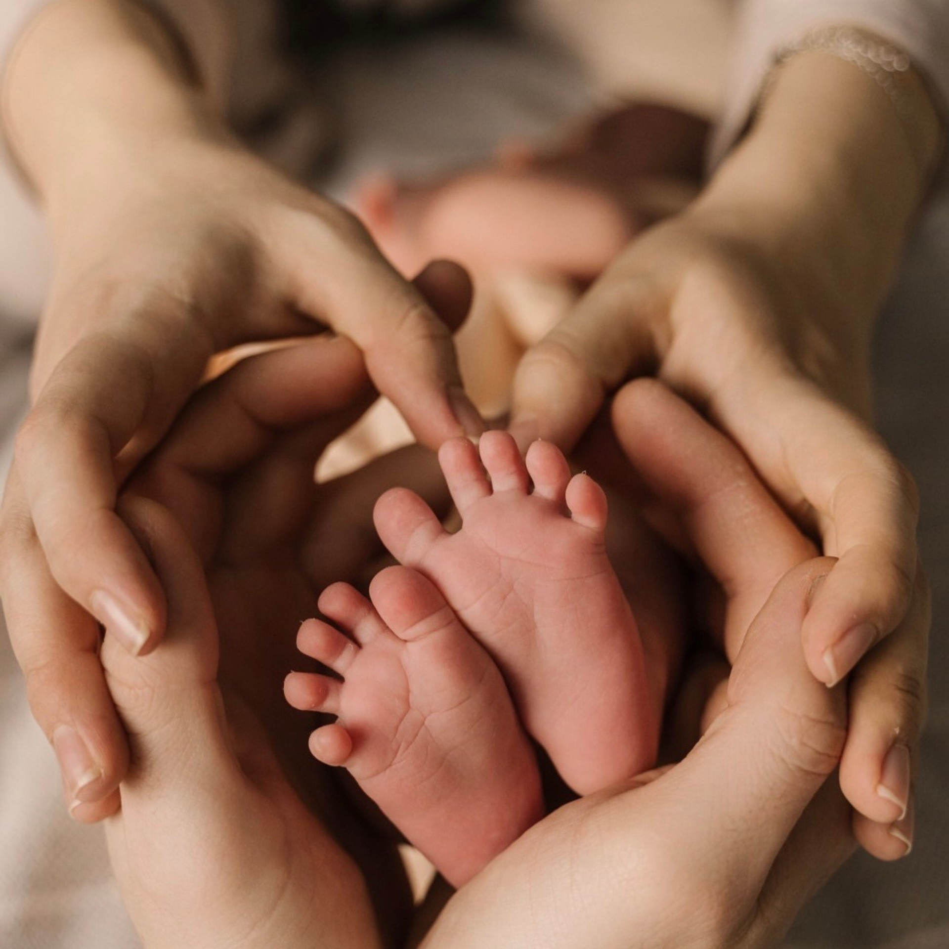 Отзывы. Свадебный и семейный фотограф в Новосибирске Светлана Варутина