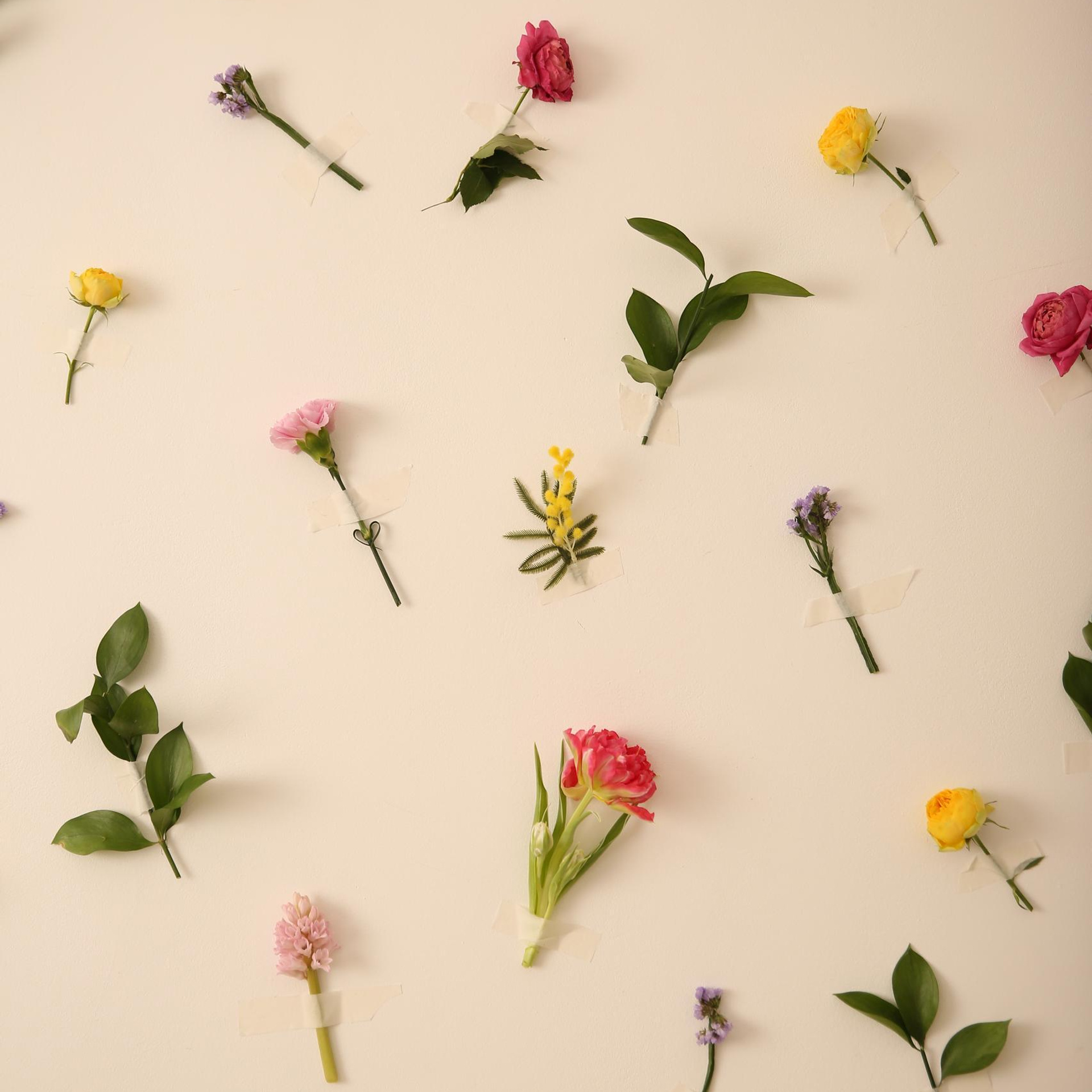 Отзывы. Мария Махинина — фотограф в Мурманске и Североморске