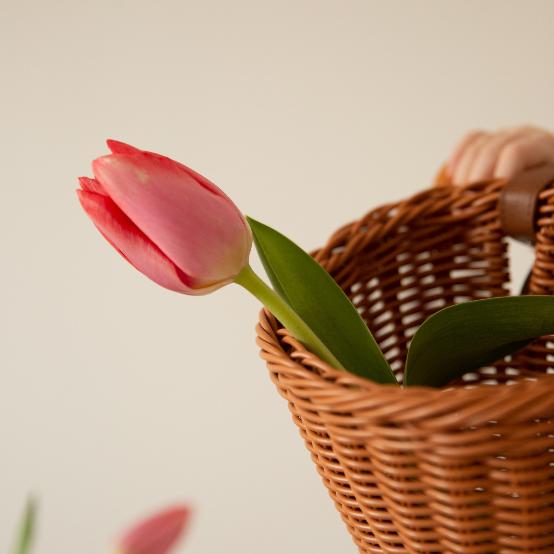 Отзывы. Мария Махинина — фотограф в Мурманске и Североморске