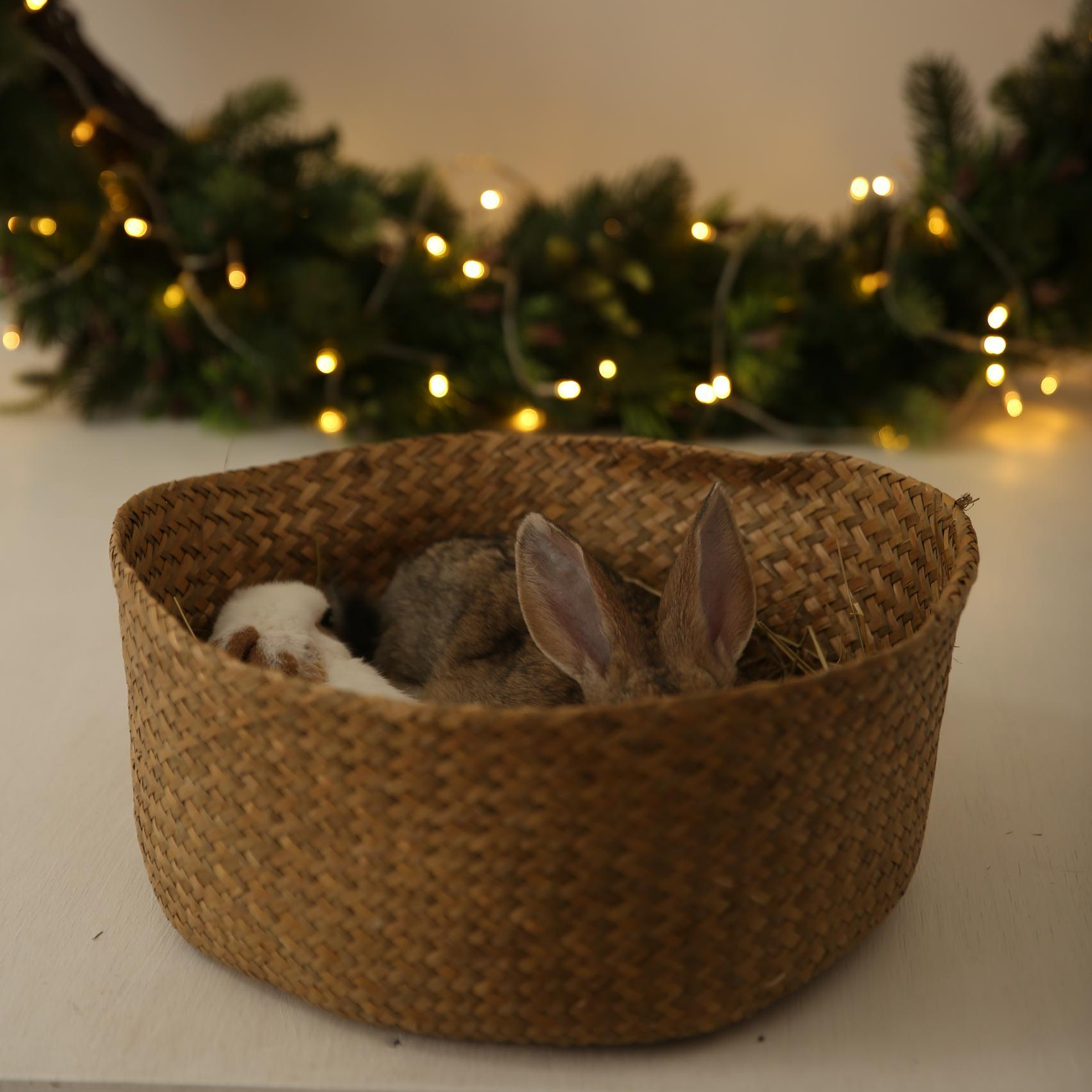 Отзывы. Мария Махинина — фотограф в Мурманске и Североморске