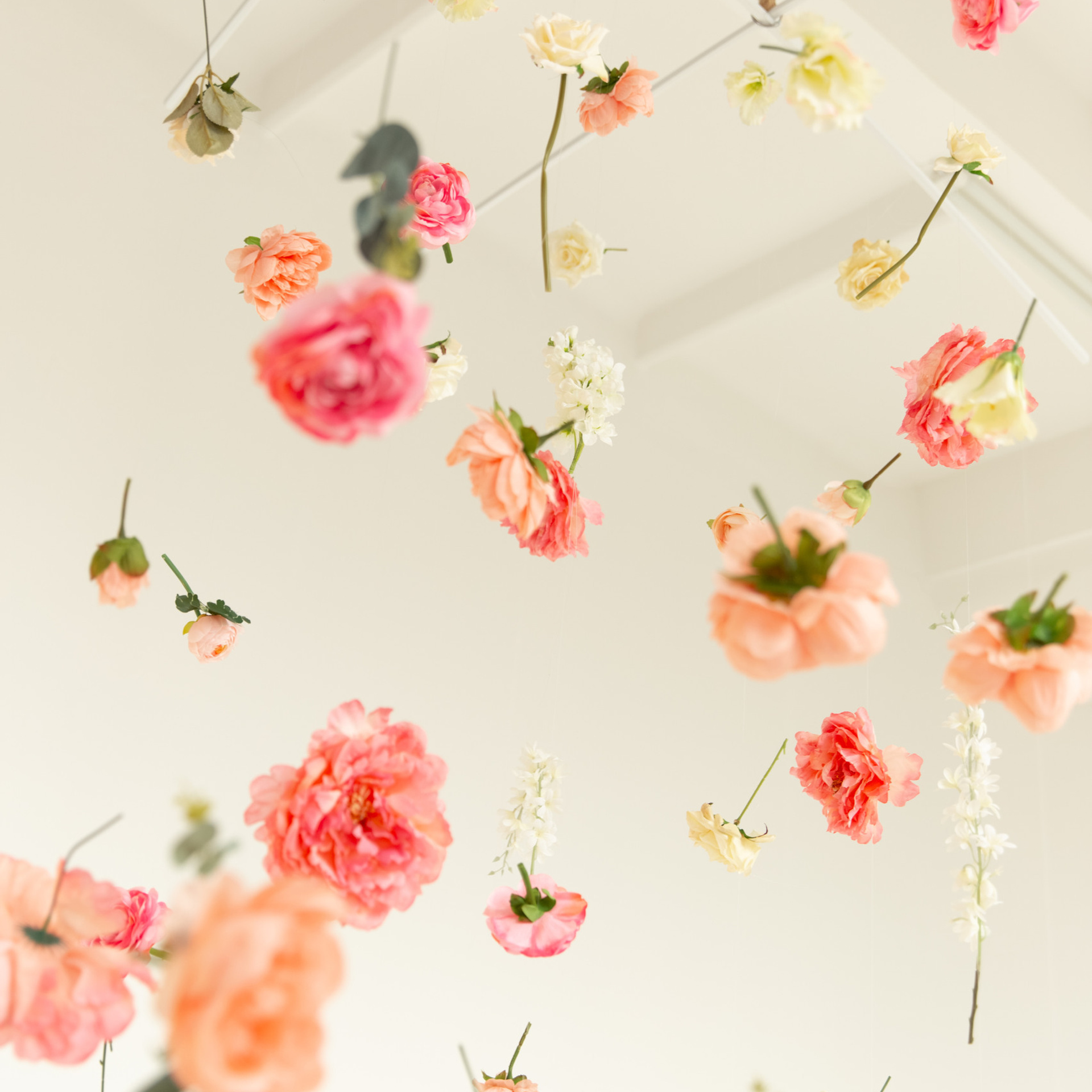 Отзывы. Мария Махинина — фотограф в Мурманске и Североморске