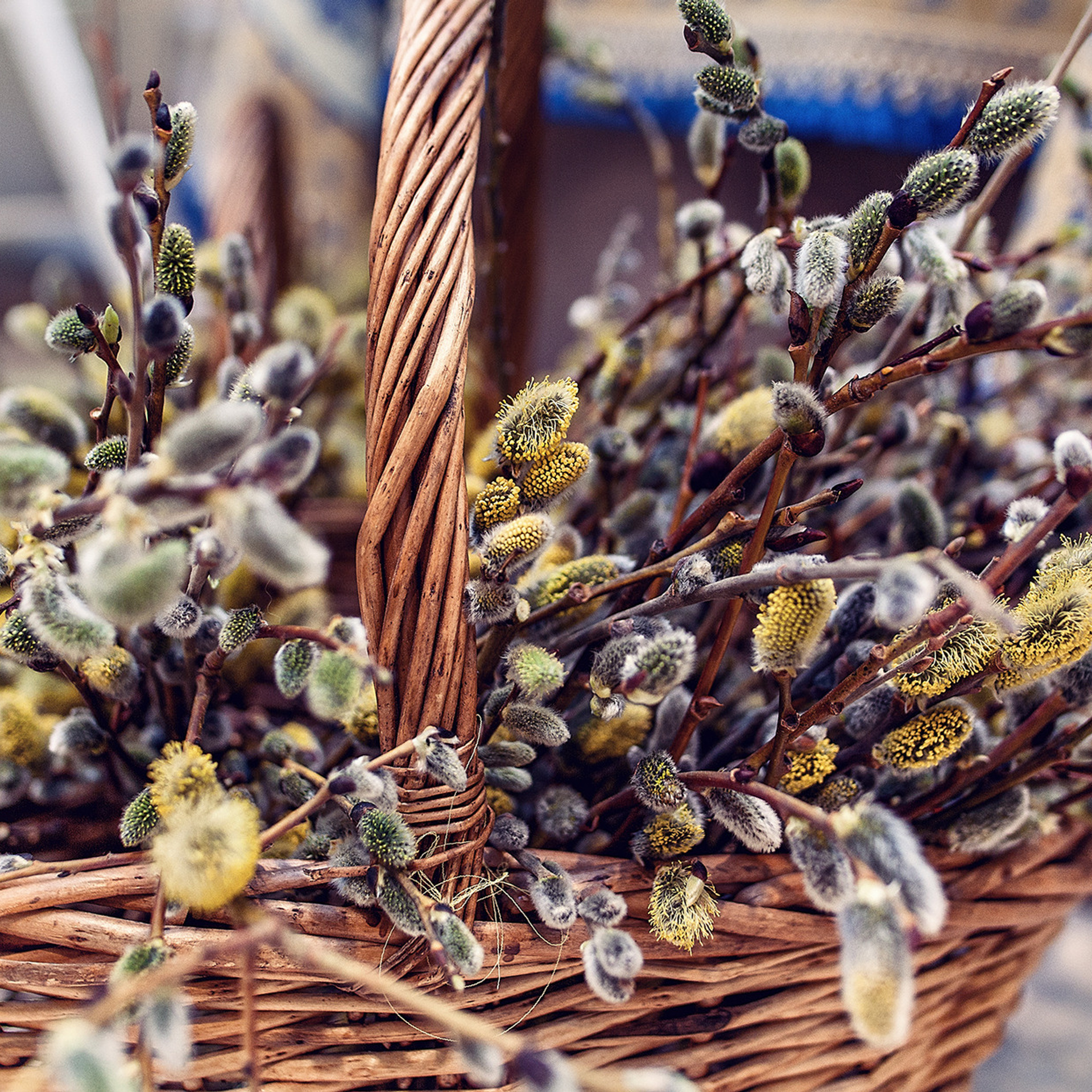 Отзывы. Главная