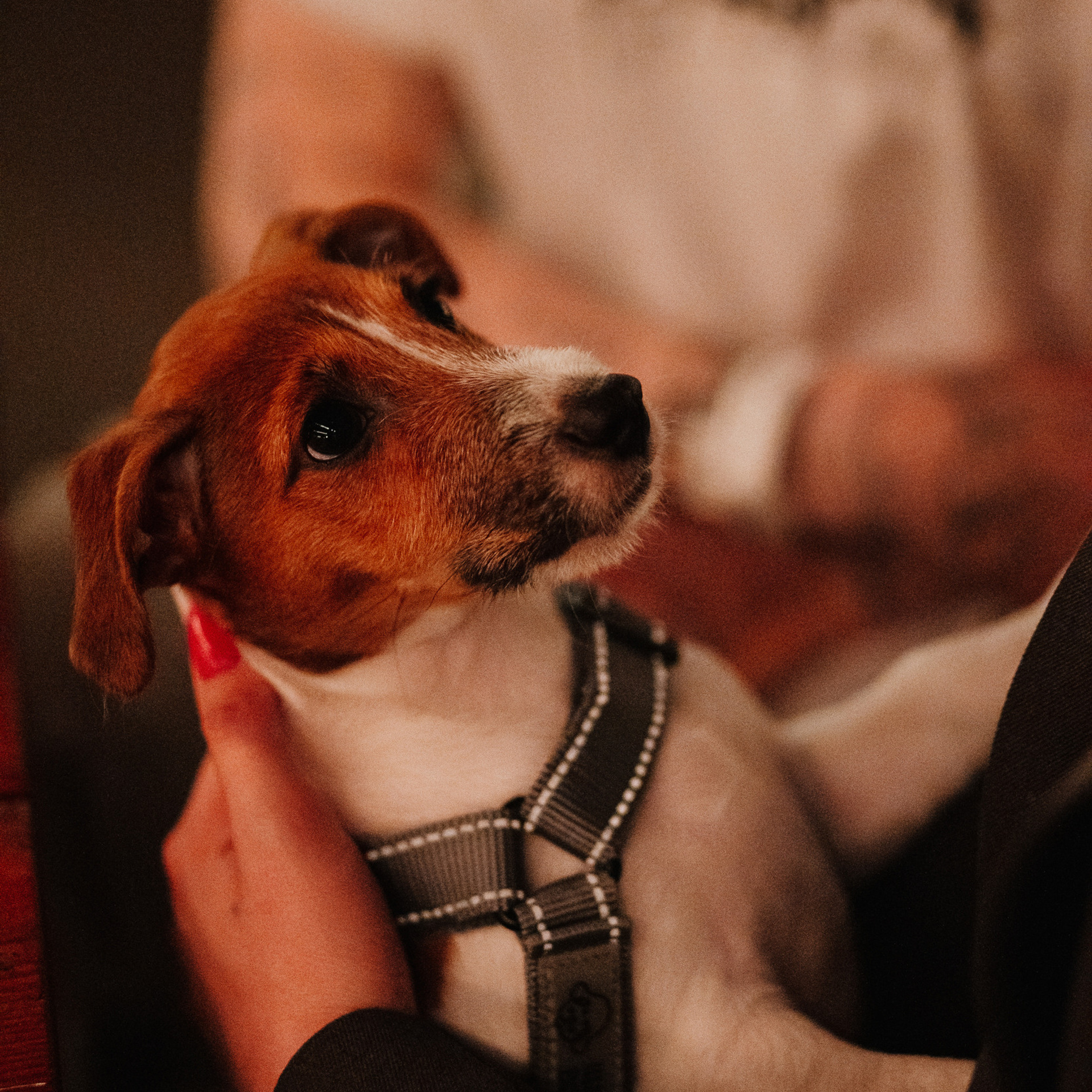 АЗИЯ МАРКЕТ 2.0. Репортажный и свадебный фотограф в Краснодаре Владислав Рыжов