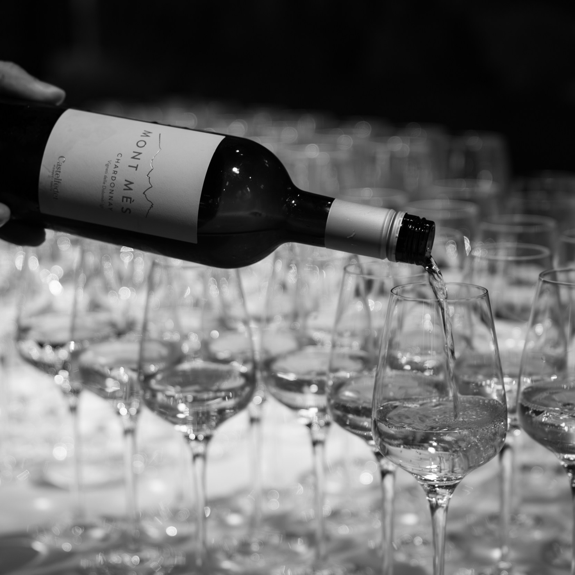 Вечер Итальянских вин. Репортажный и свадебный фотограф в Краснодаре Владислав Рыжов