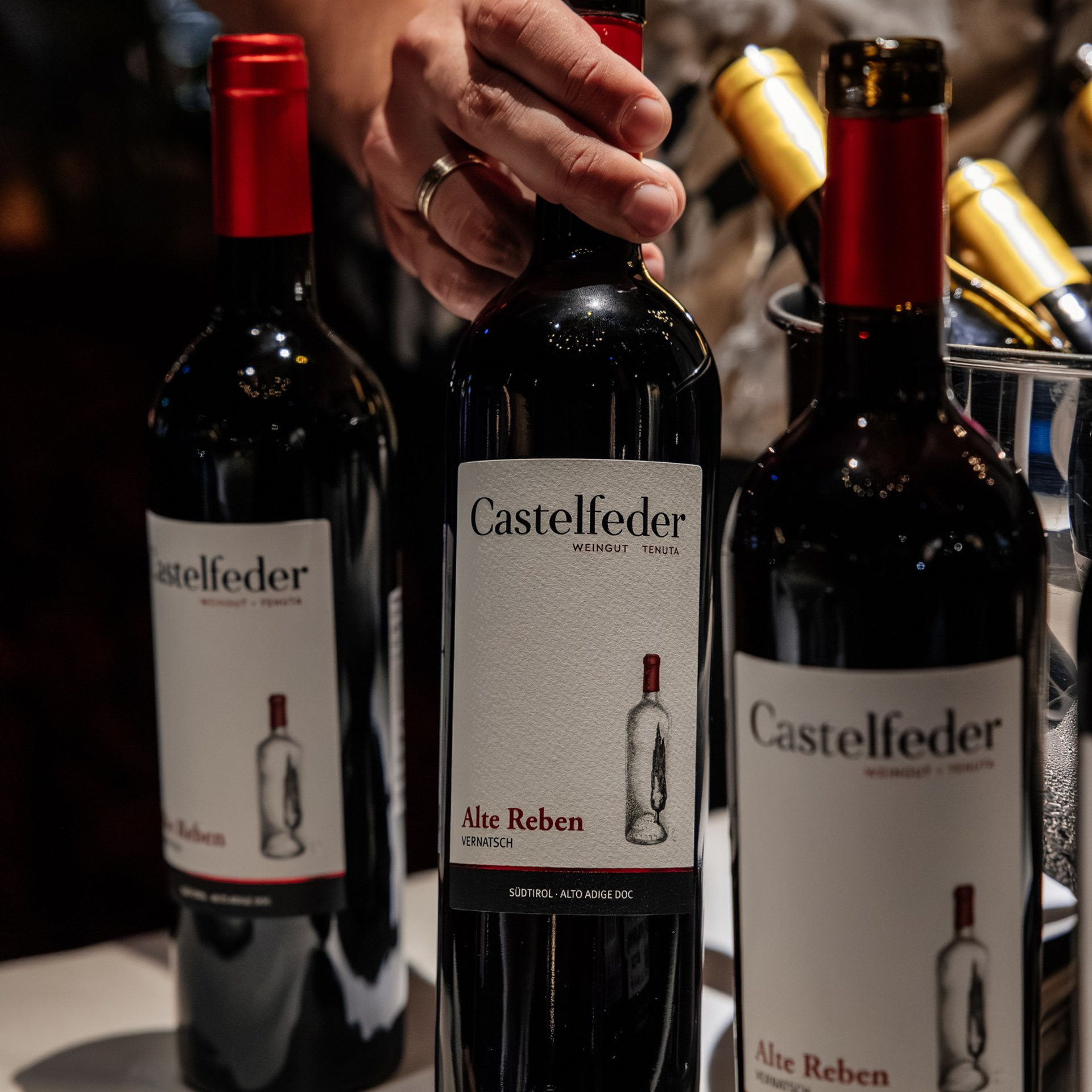 Вечер Итальянских вин. Репортажный и свадебный фотограф в Краснодаре Владислав Рыжов