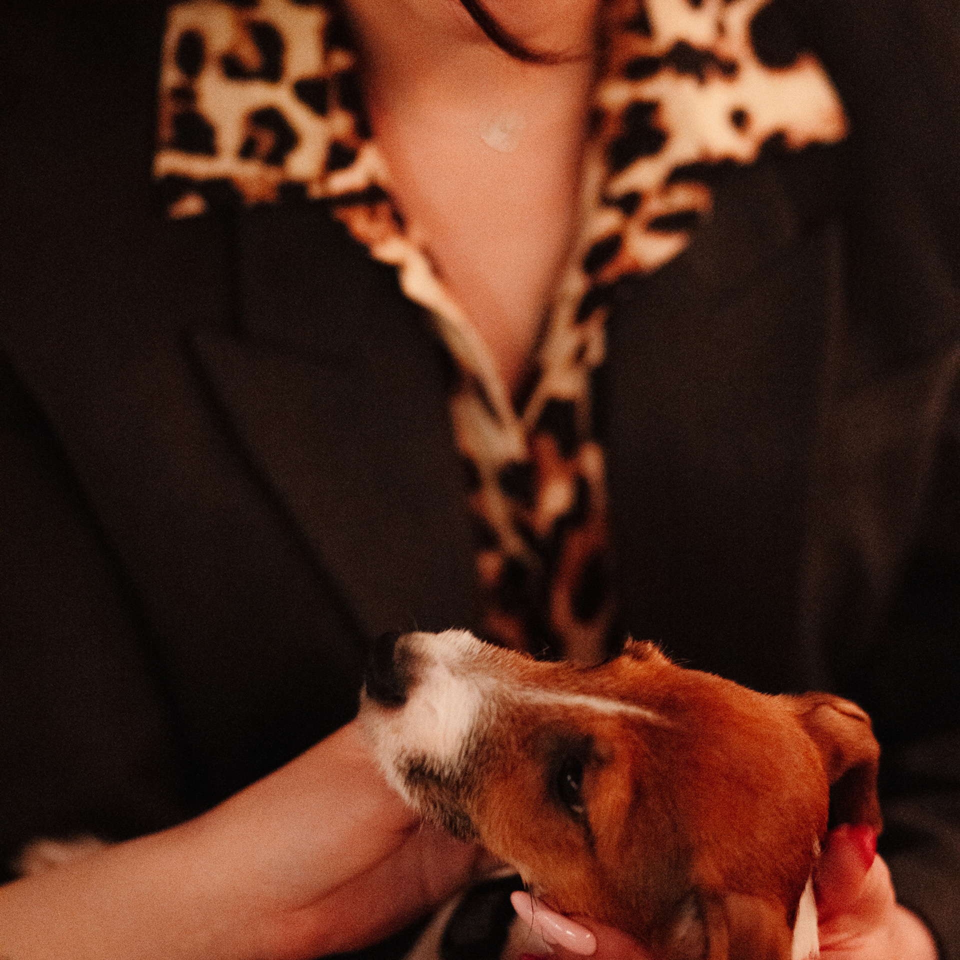 АЗИЯ МАРКЕТ 2.0. Репортажный и свадебный фотограф в Краснодаре Владислав Рыжов