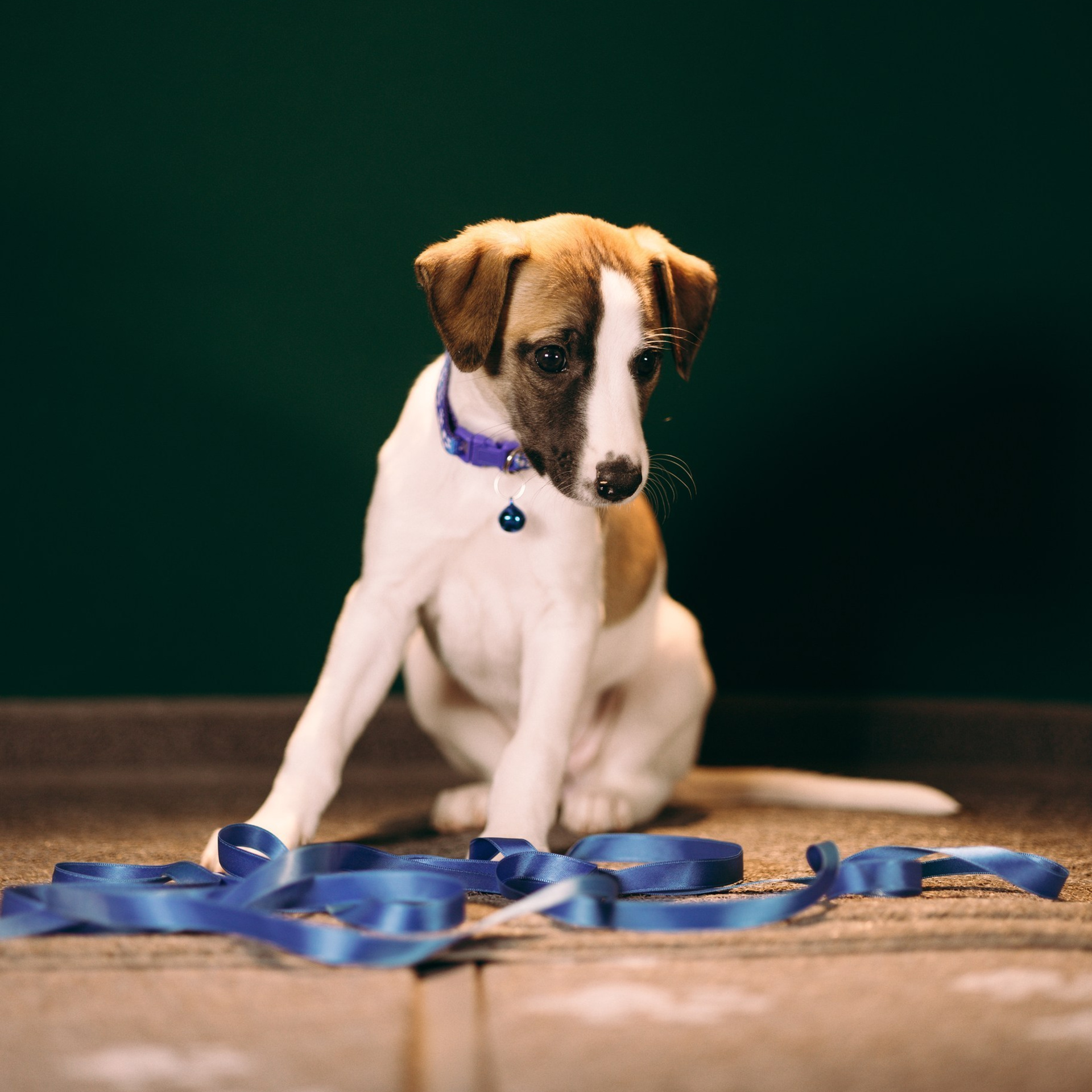 Отзывы. Анна Самохина. Фотограф. Москва