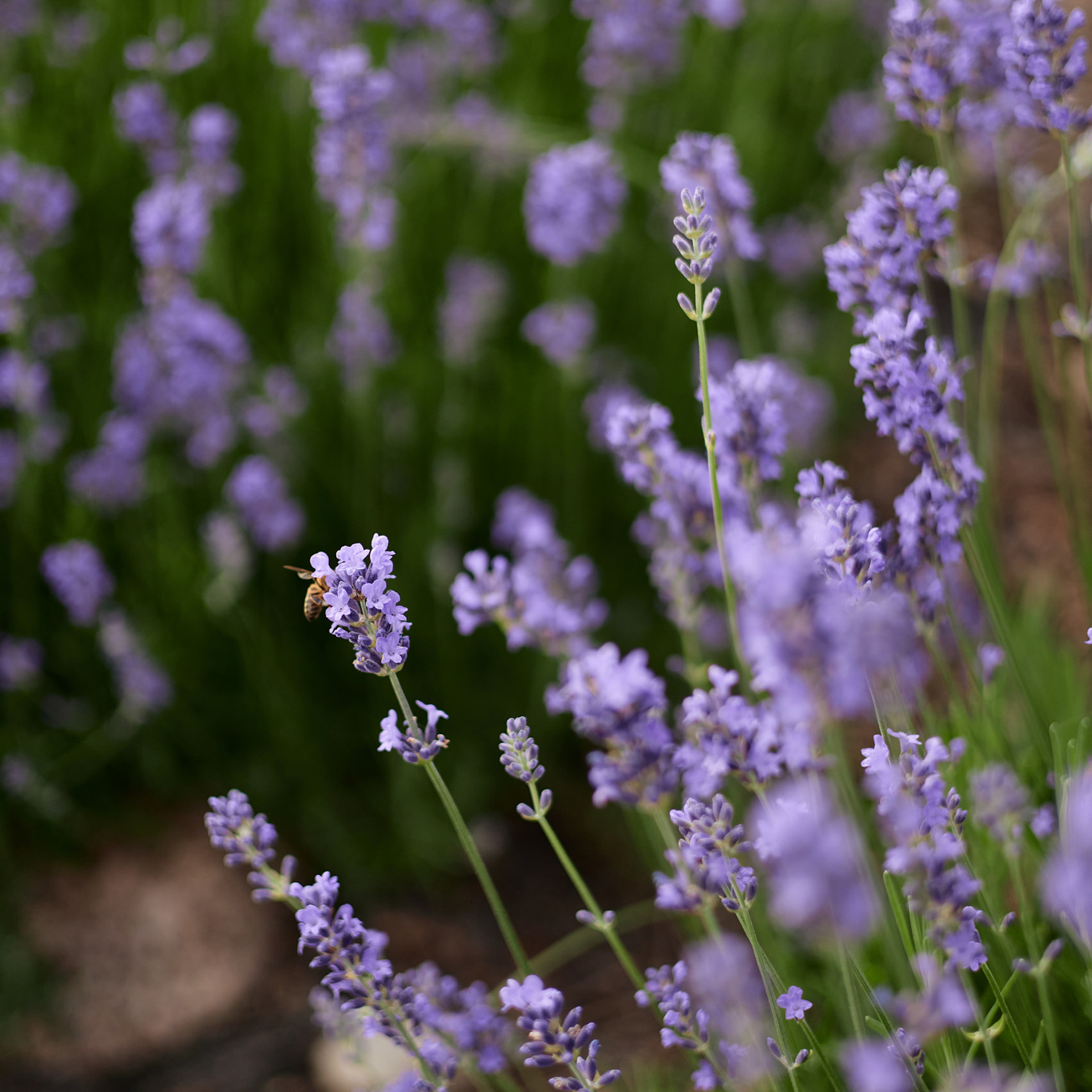 Отзывы. Фотограф в Минске Анна Кучинская
