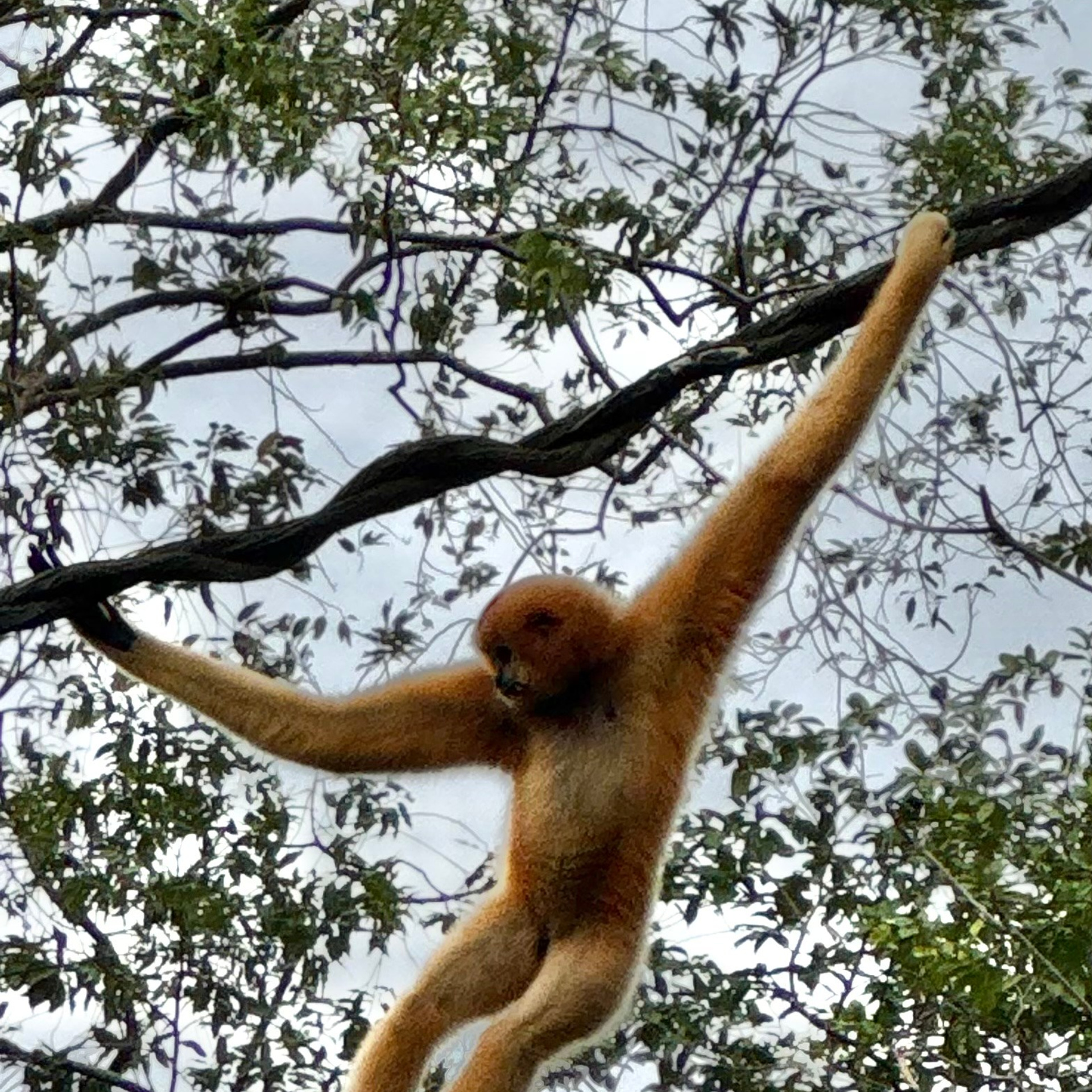 Сингапур 2025