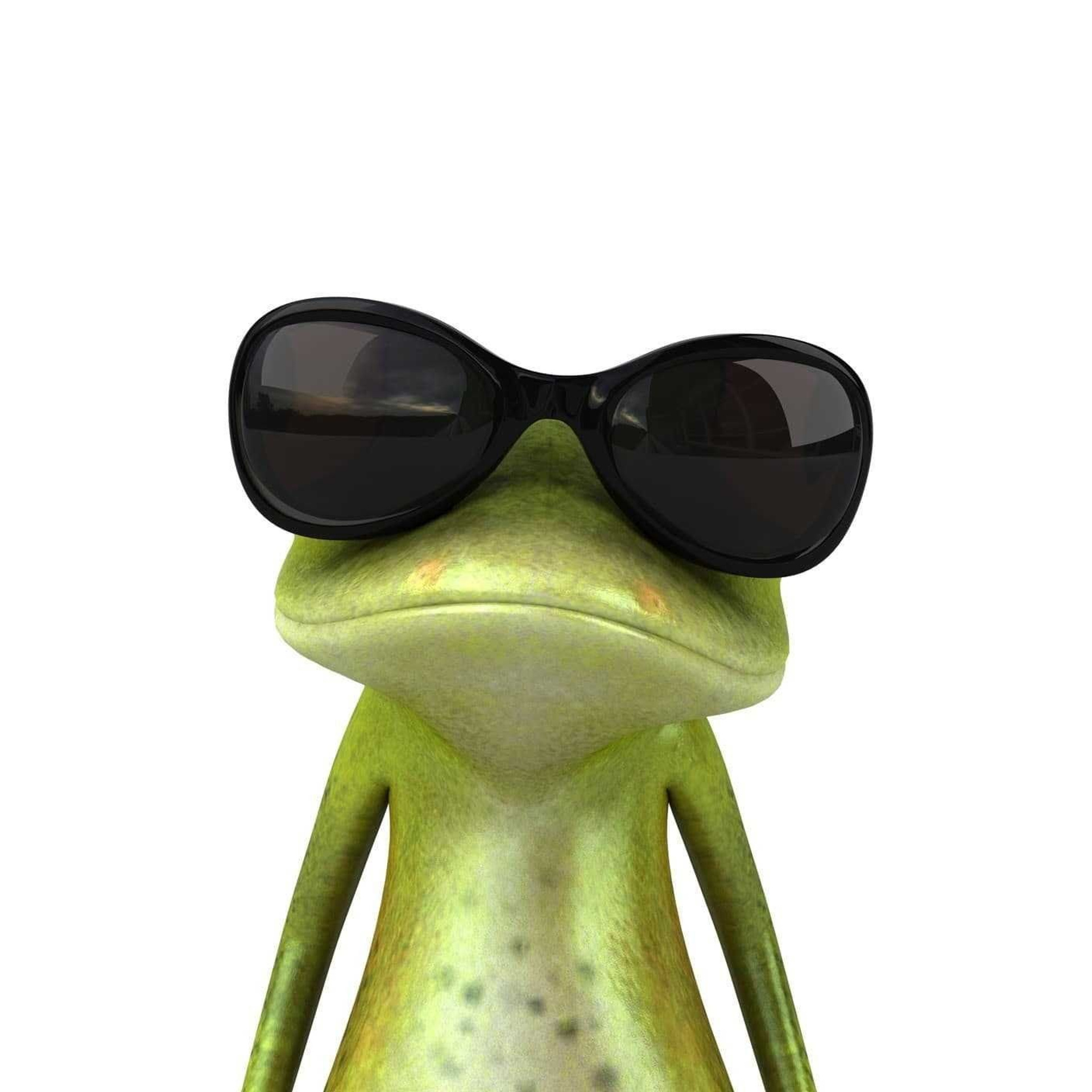 Googledonatebot отзывы