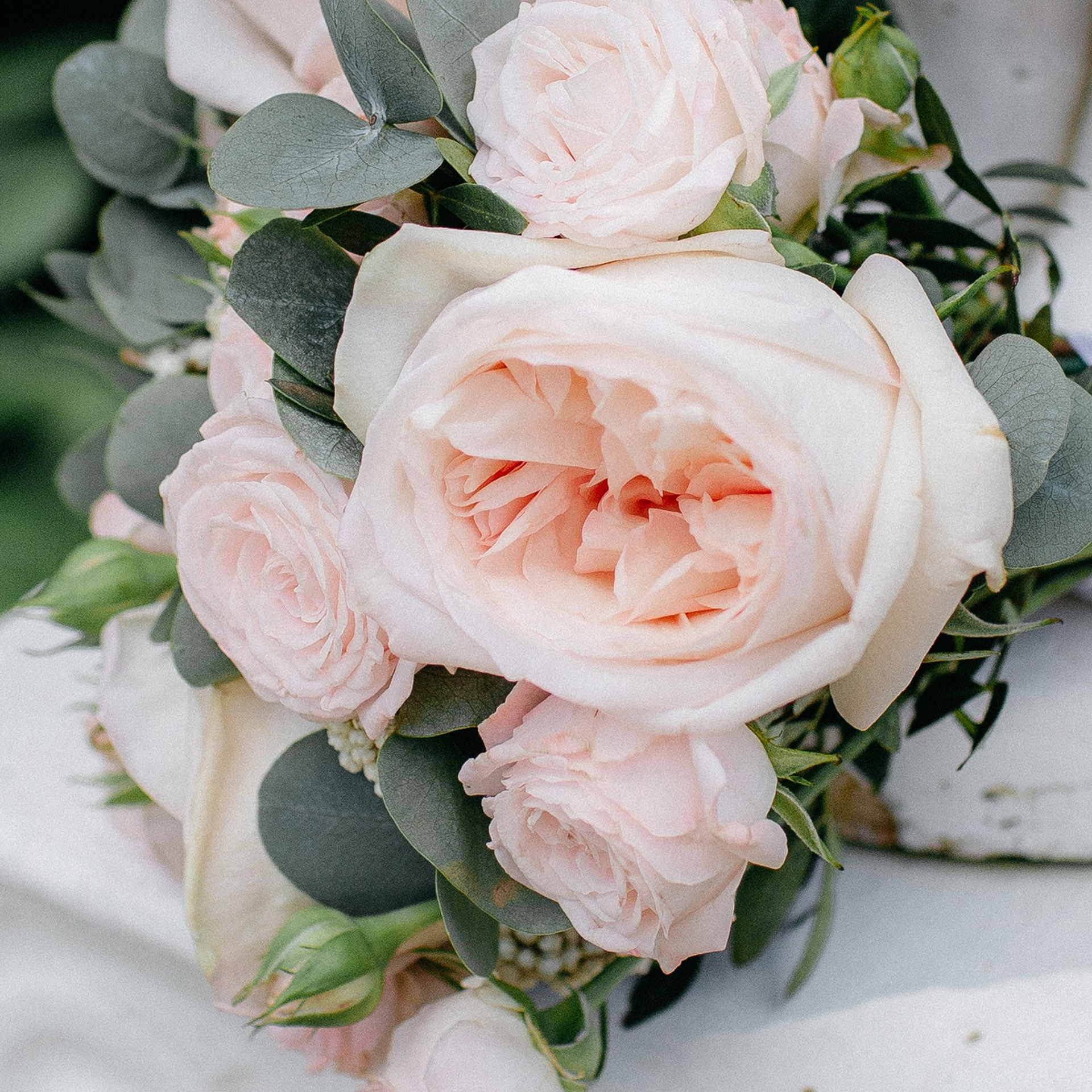 Отзывы. Свадебный и семейный фотограф Иваново Москва Елена Угодина