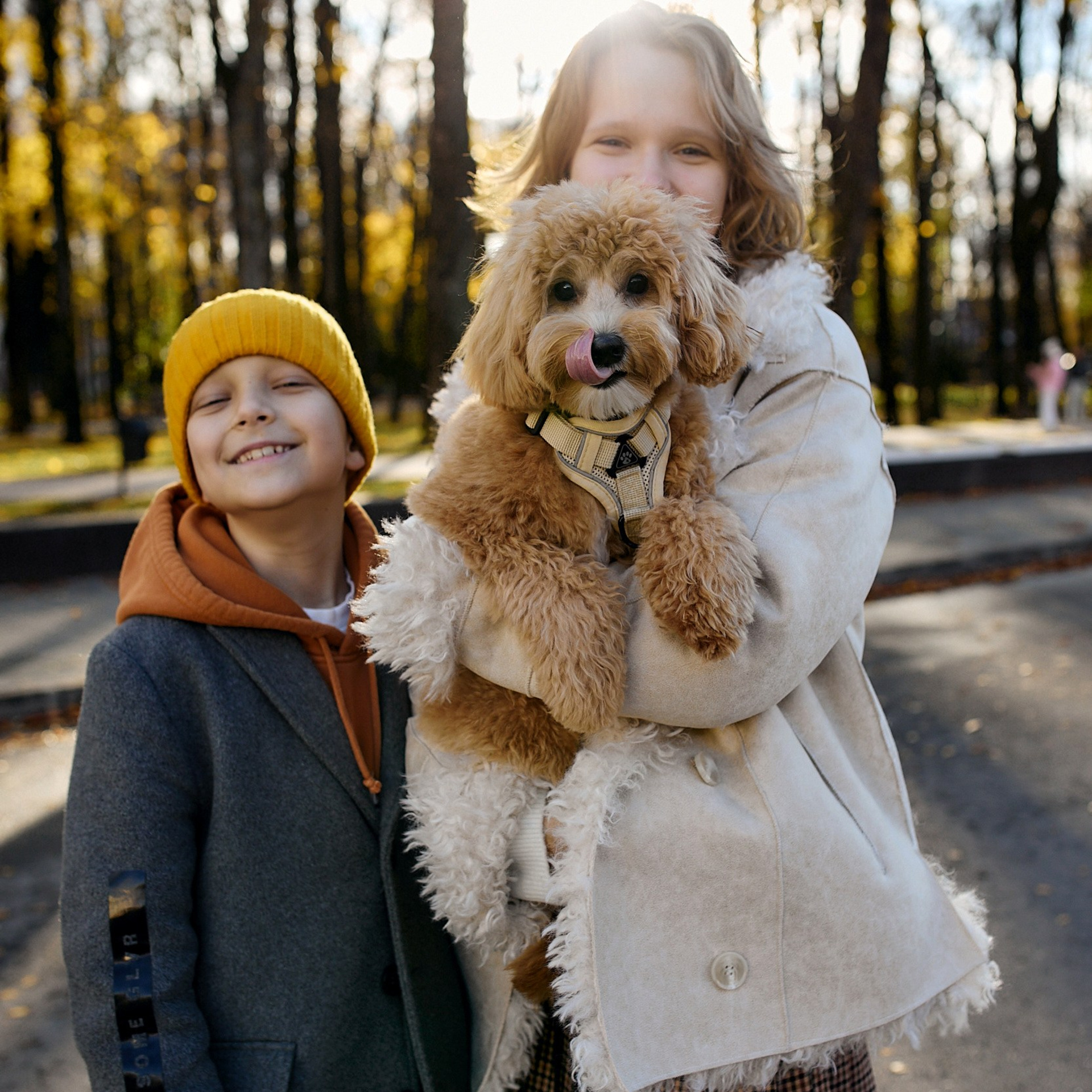 Анонсы фотосъёмок. Семейные детские съёмки. Фудфотография. Детский, семейный и школьный фотограф Смоленск Москва Влад Старов