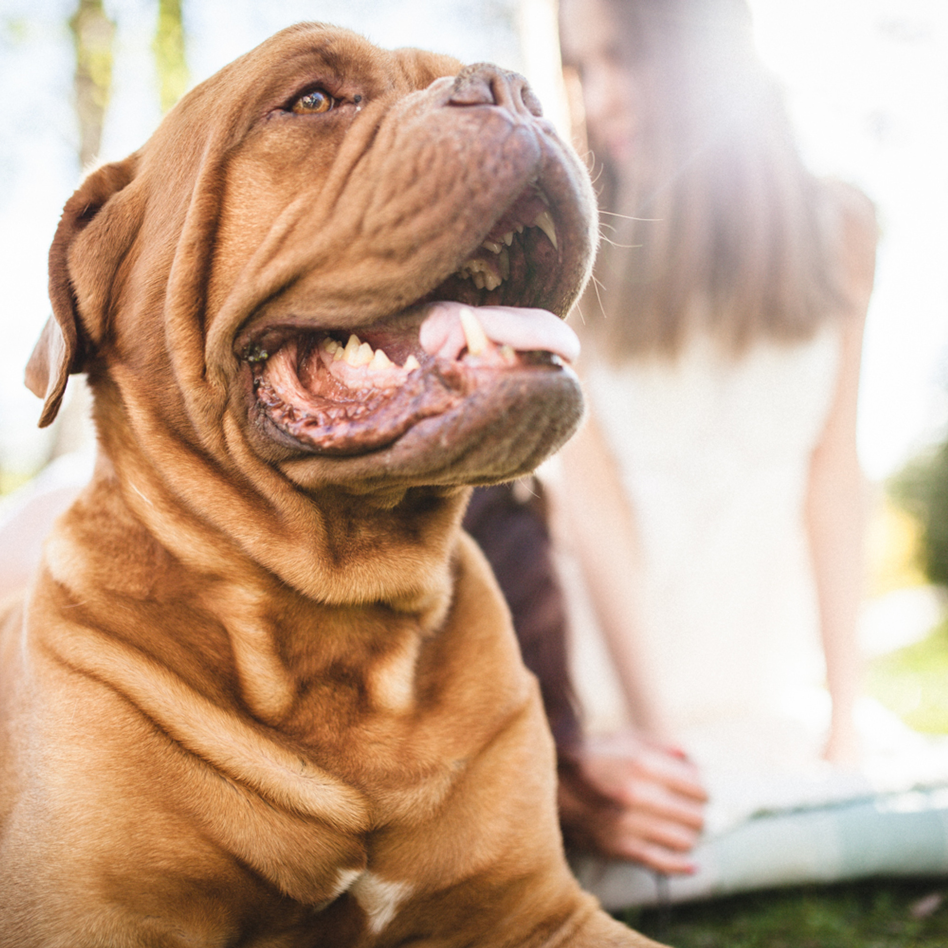 Анонсы фотосъёмок. Семейные детские съёмки. Фудфотография. Детский, семейный и школьный фотограф Смоленск Москва Влад Старов