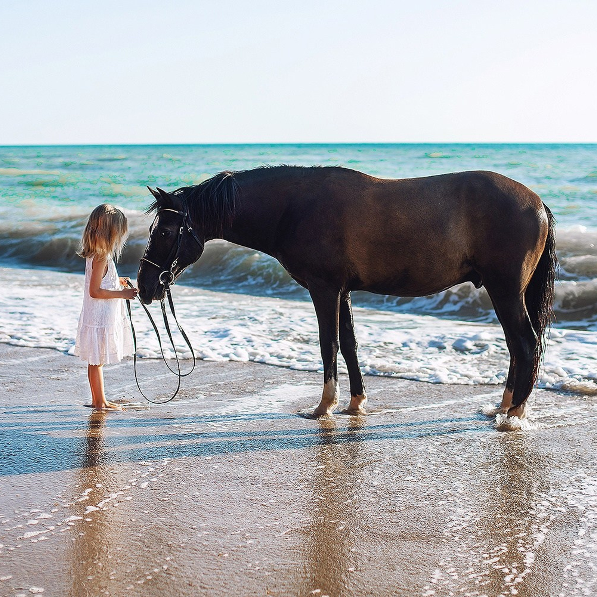 Конные фотосессии. Свадебный фотограф в Крыму