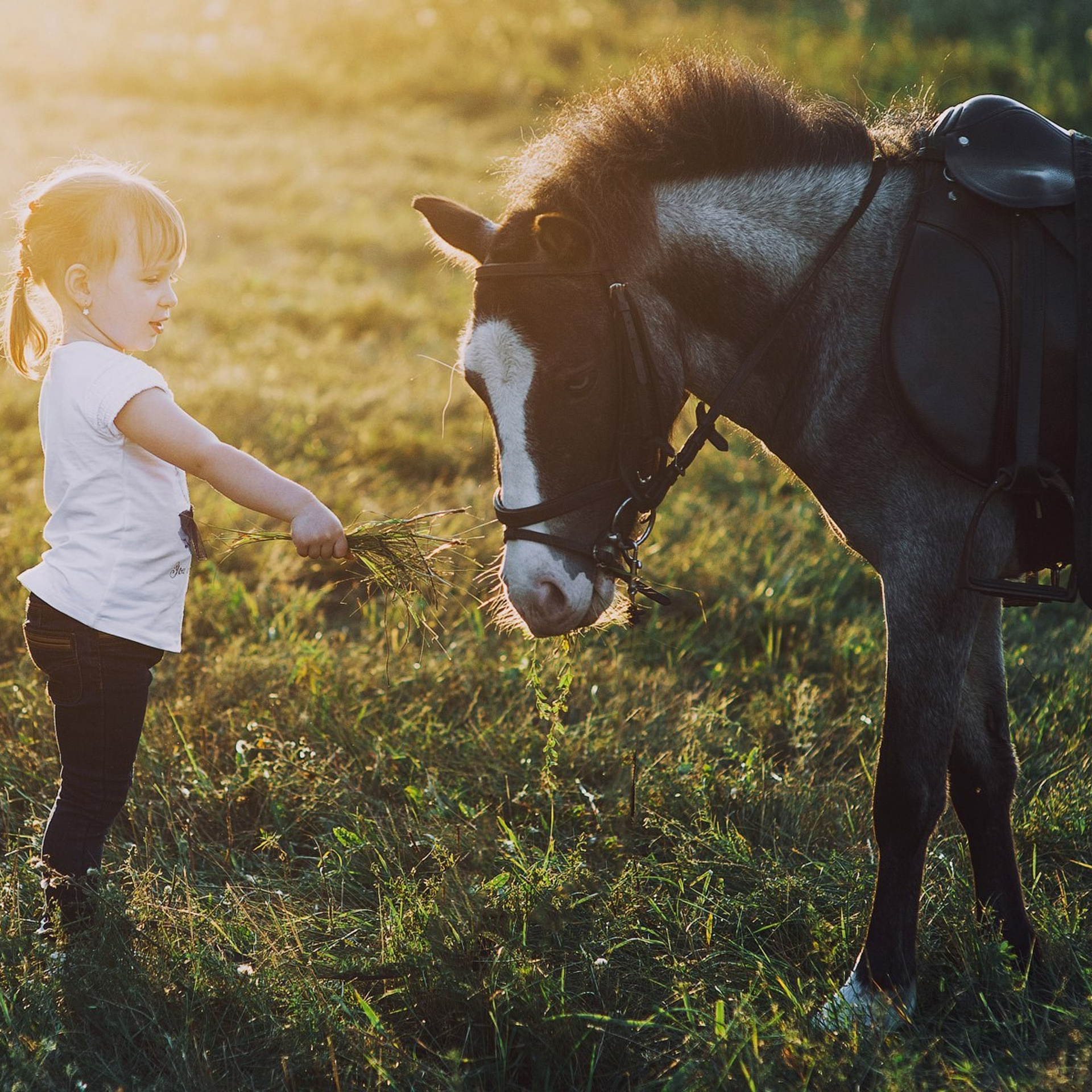 Детские фотосессии. Свадебный фотограф в Крыму