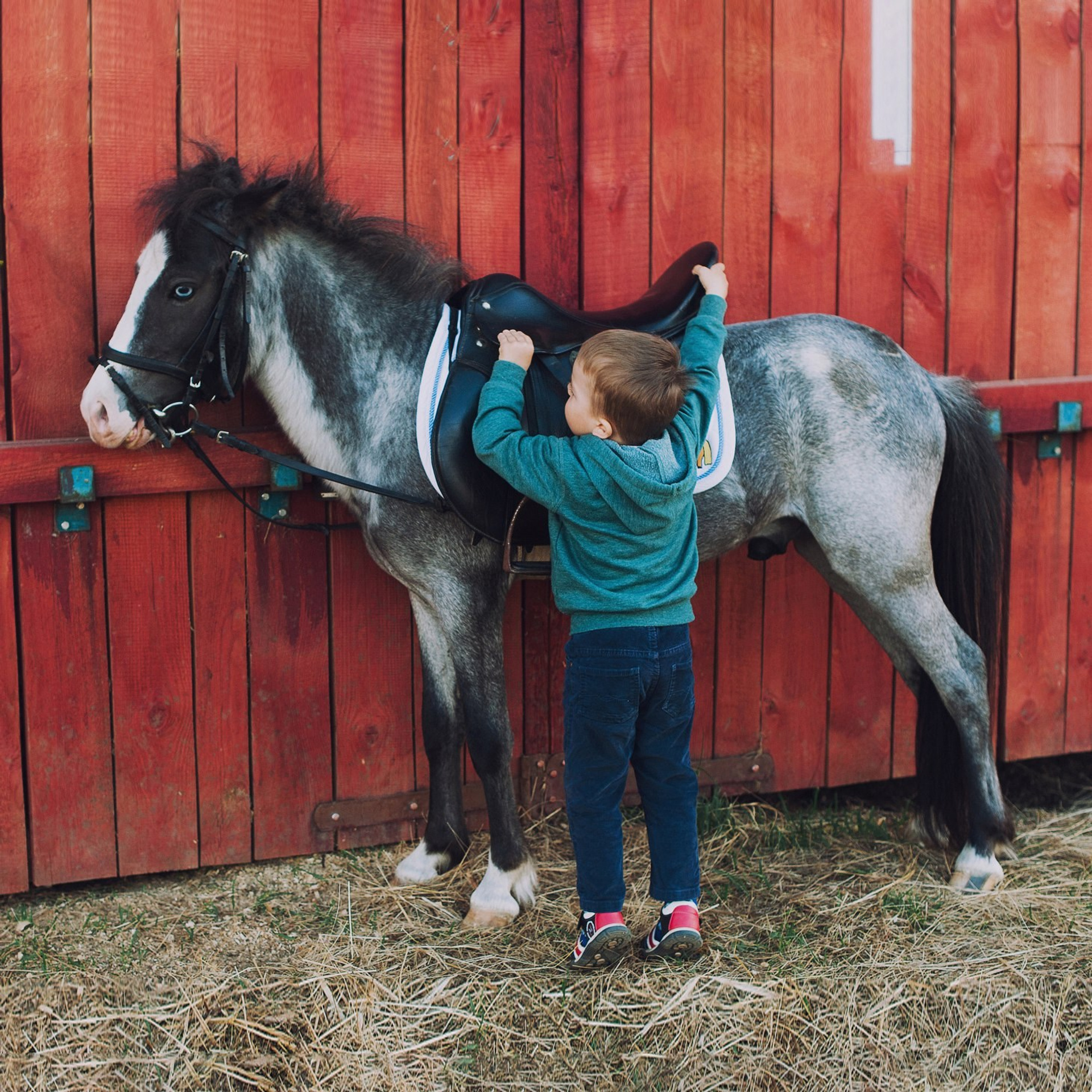 Детские фотосессии. Свадебный фотограф в Крыму