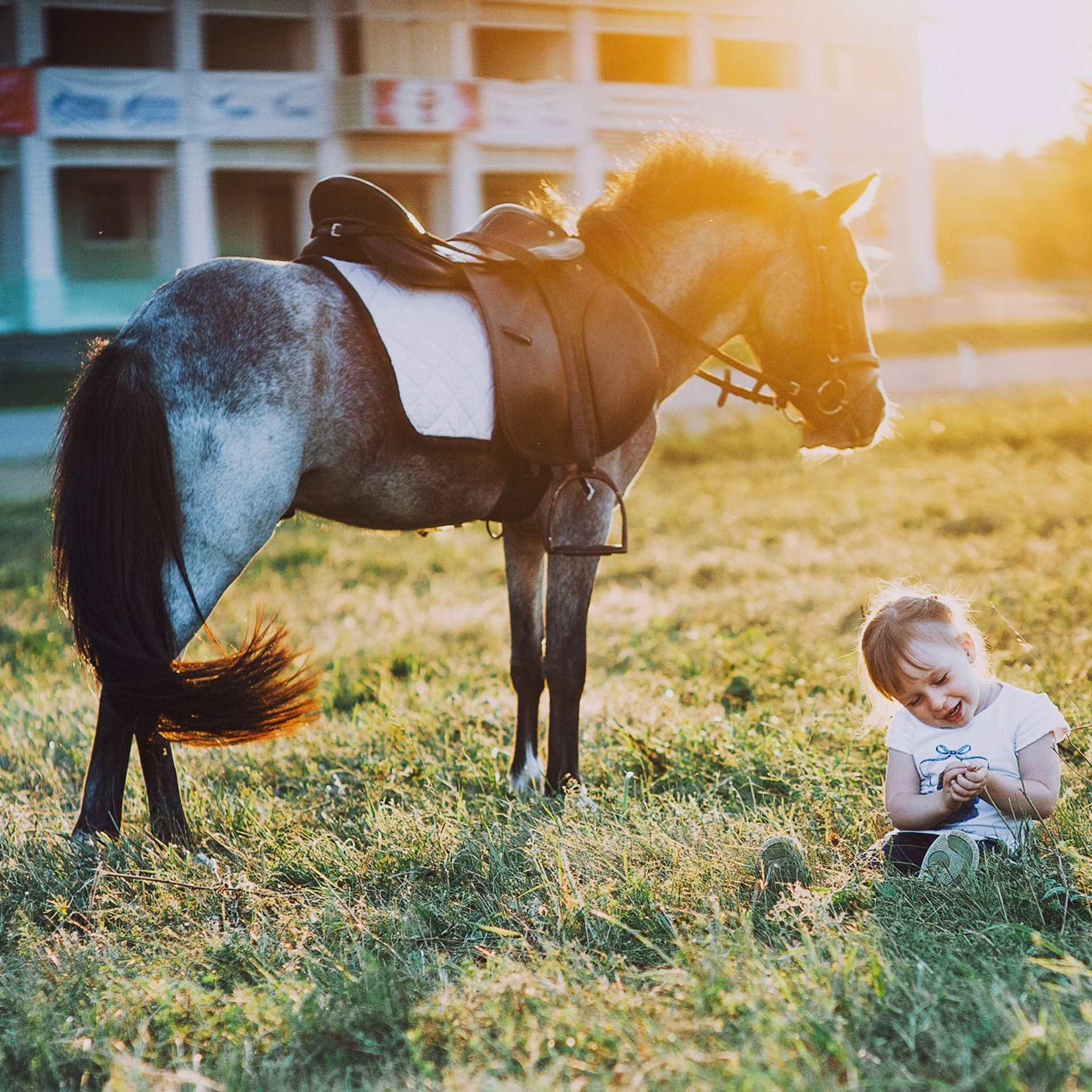 Детские фотосессии. Свадебный фотограф в Крыму