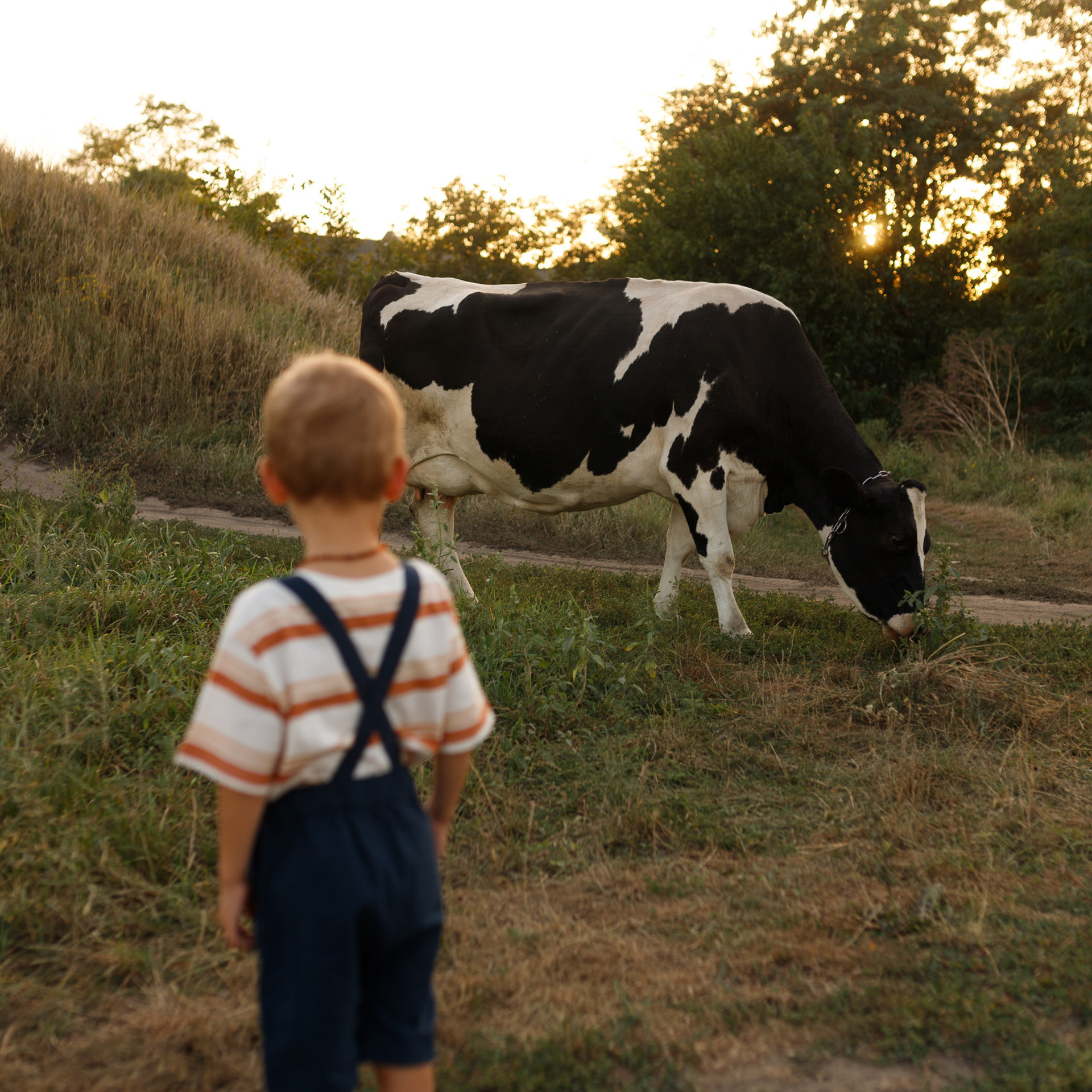 Отзывы. Семейный и женский фотограф в Краснодаре Виктория Гупало