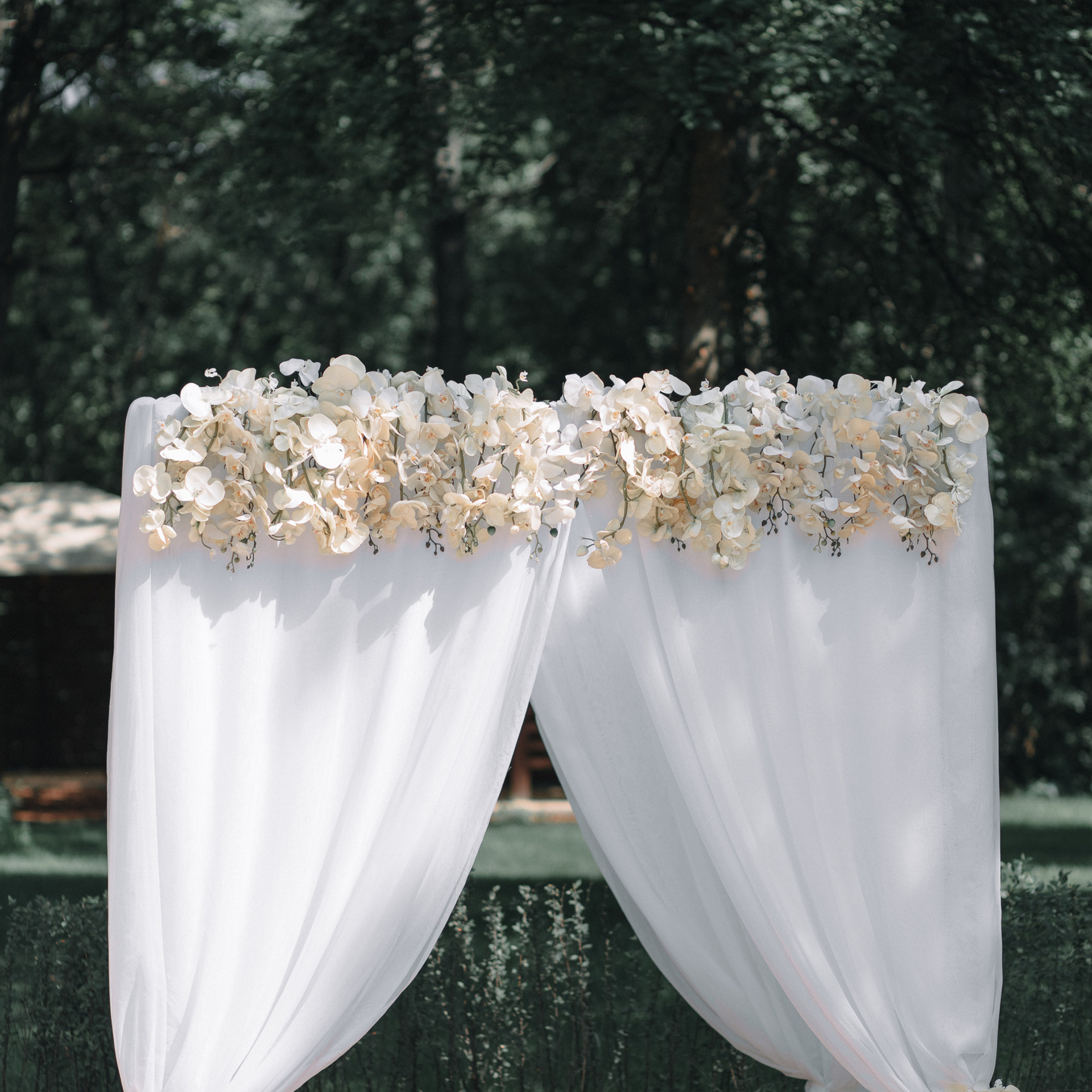 Отзывы. Свадебный фотограф в Воронеже Екатерина Краснова