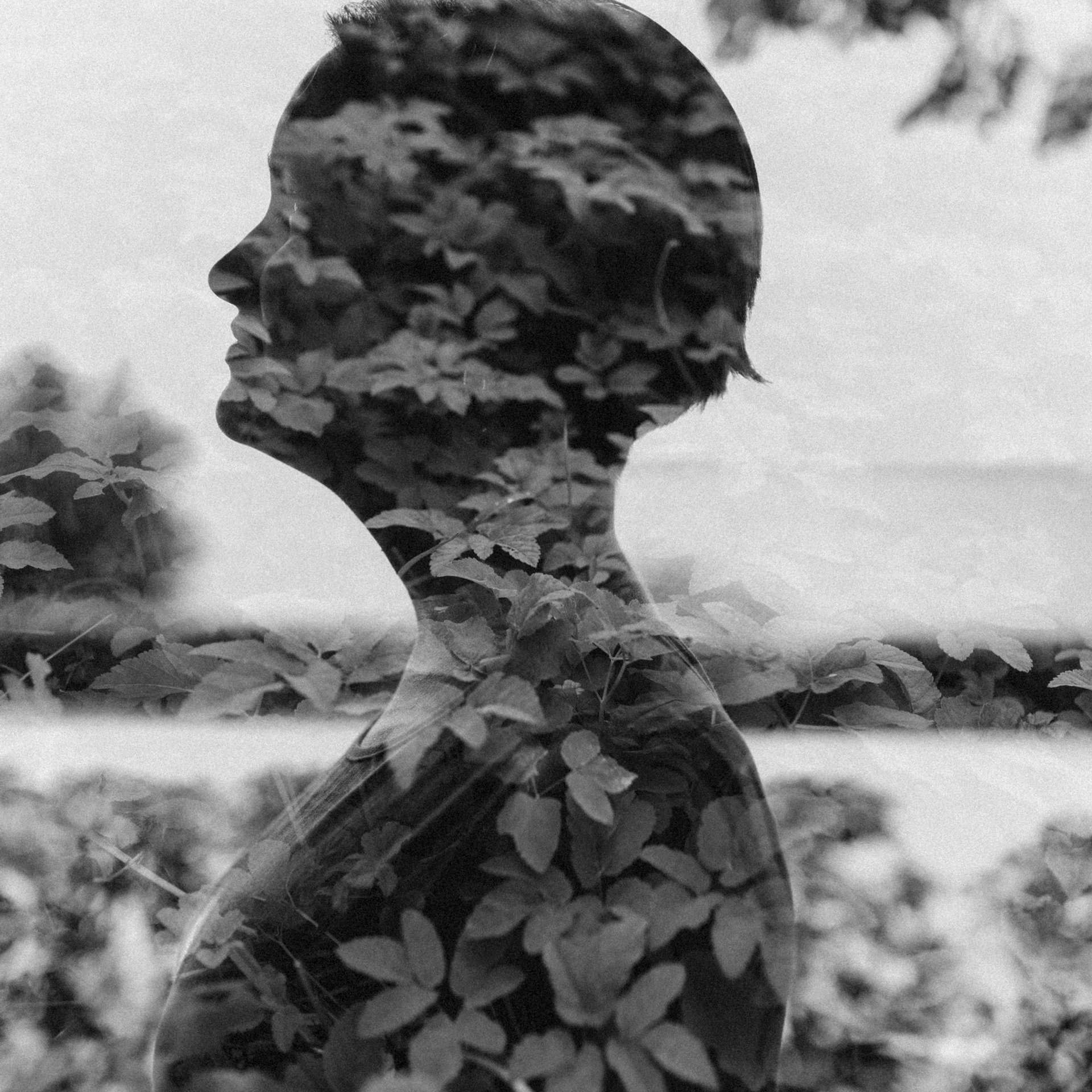 Отзывы. Фотограф в Саратове Максим Ветлицкий