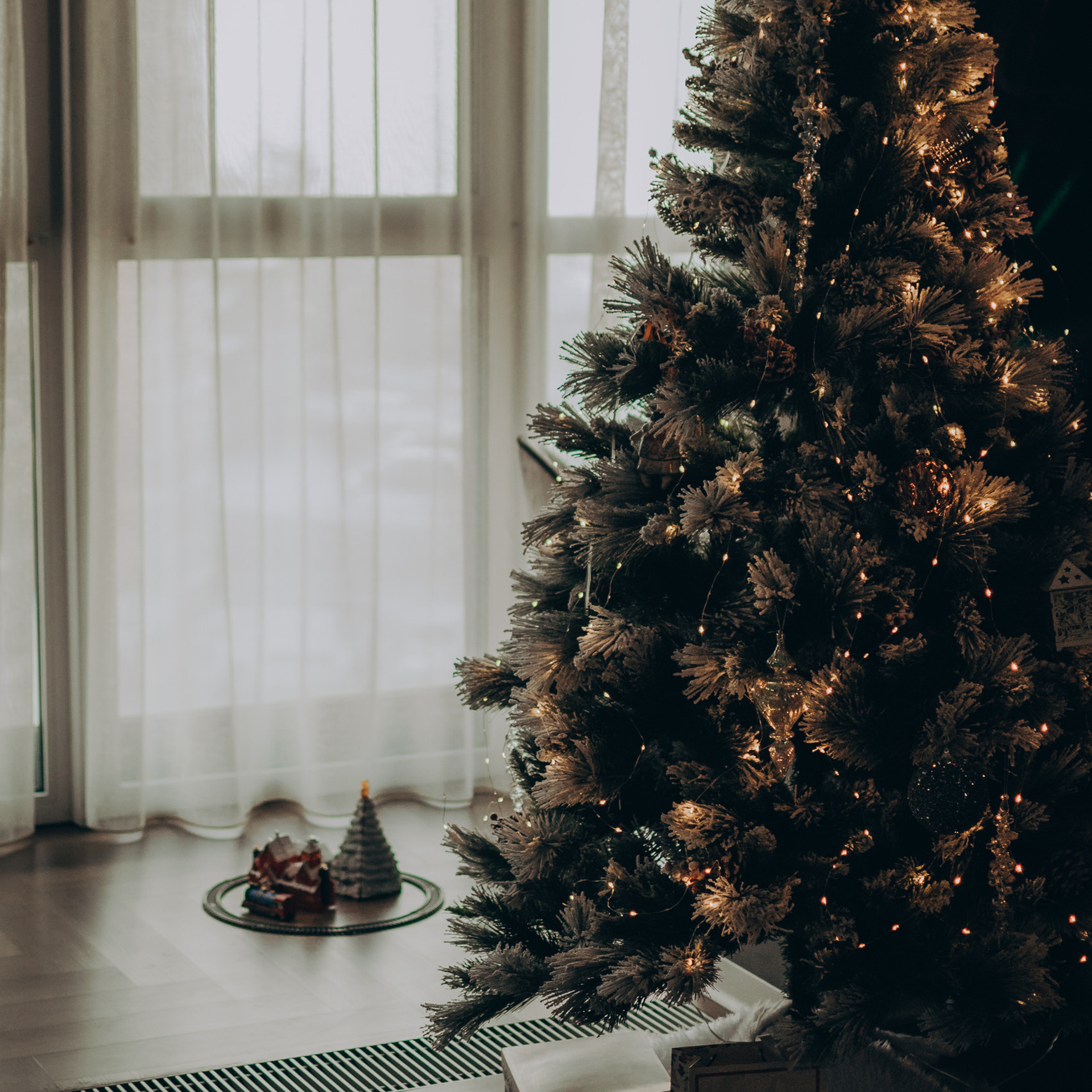 Отзывы. Фотограф в Иркутске