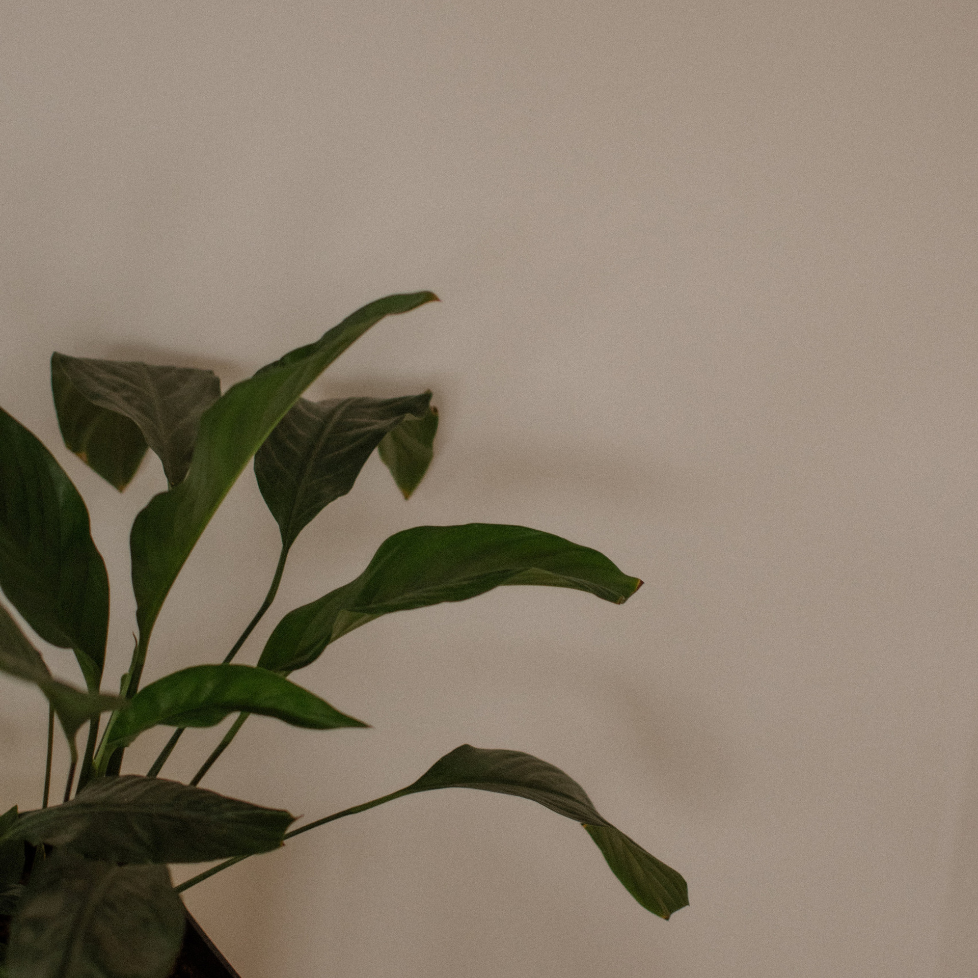 Отзывы. Фотограф в Иркутске