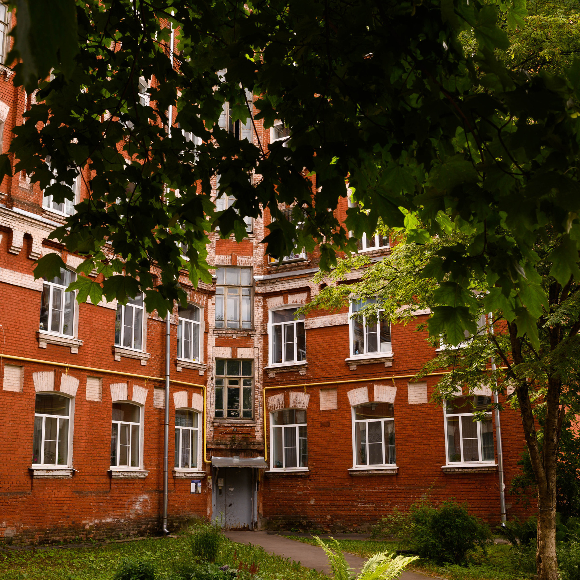 Отзывы. Фотограф Светлана Васильева