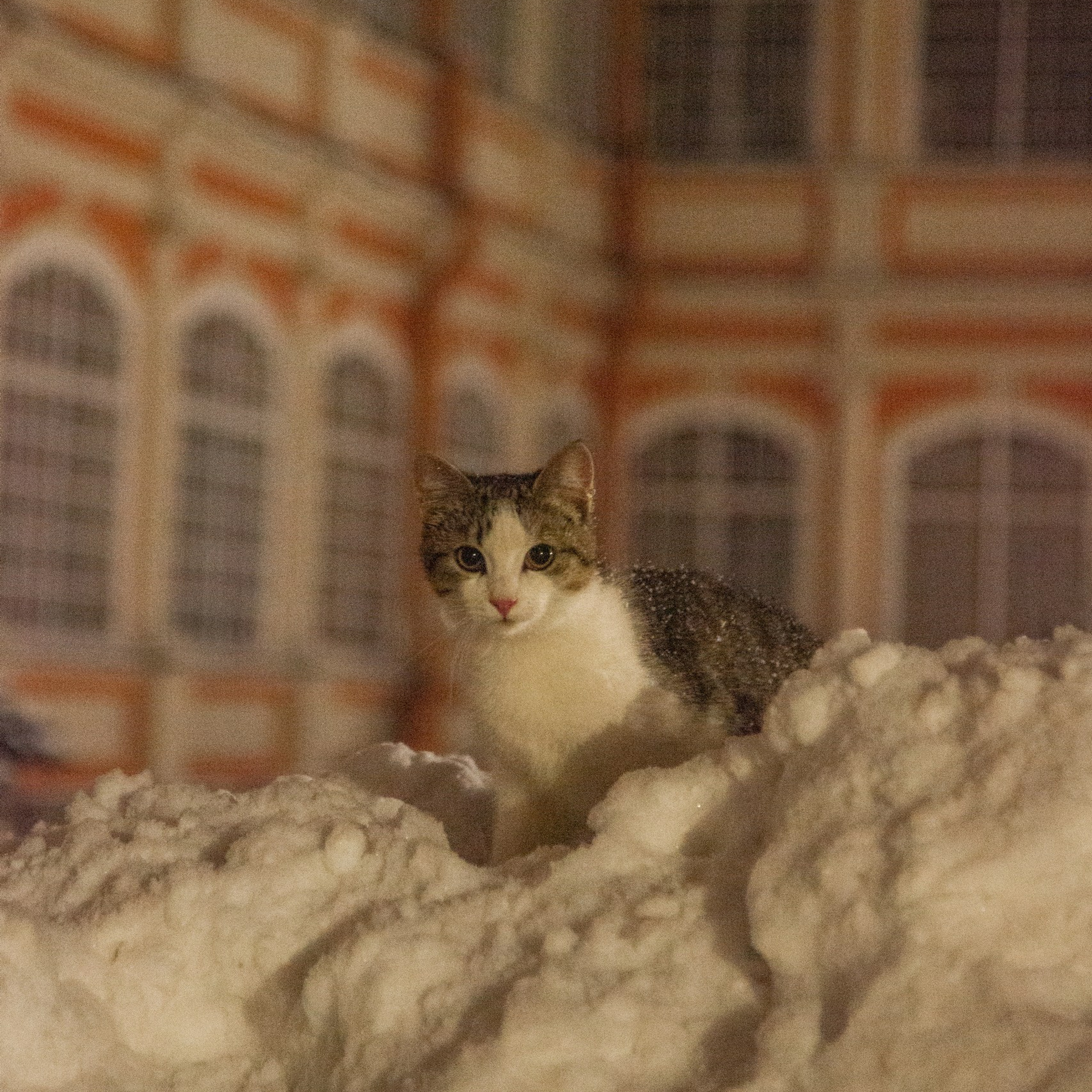 Отзывы. Честные истории о жизни города и его людях