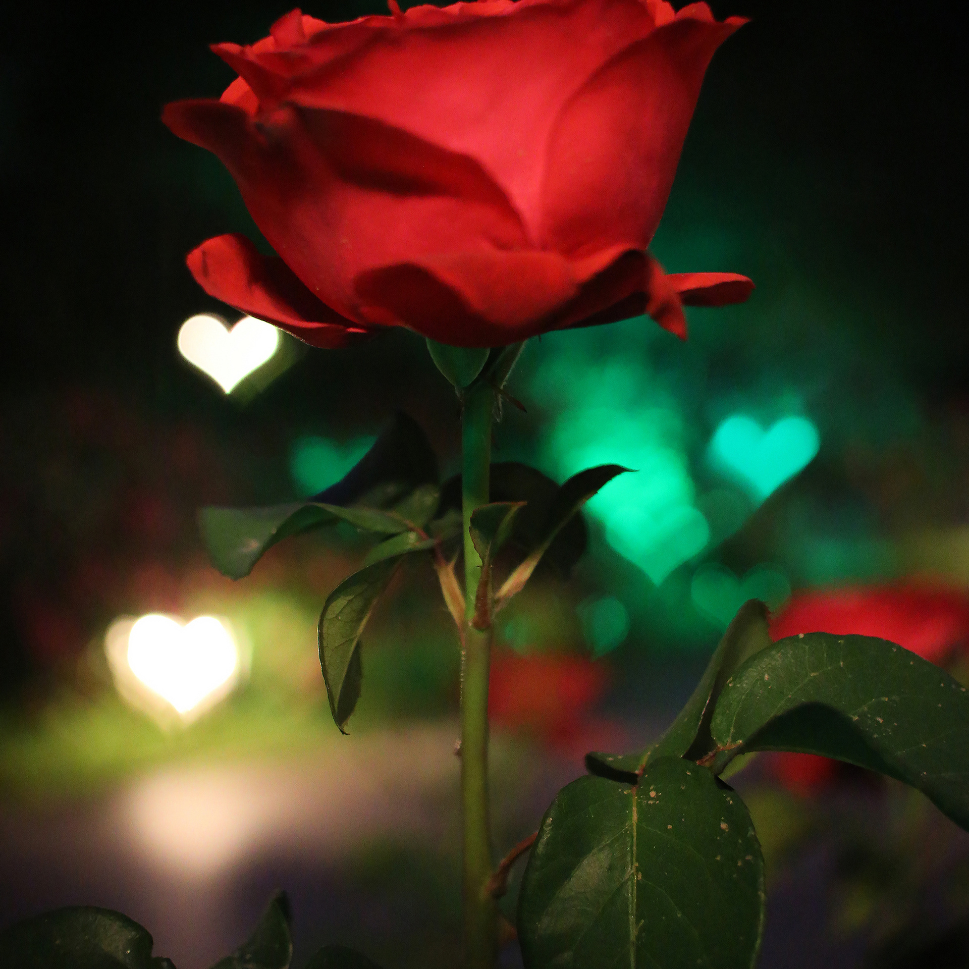 Путешествия. Фотограф Ольга Филимонова